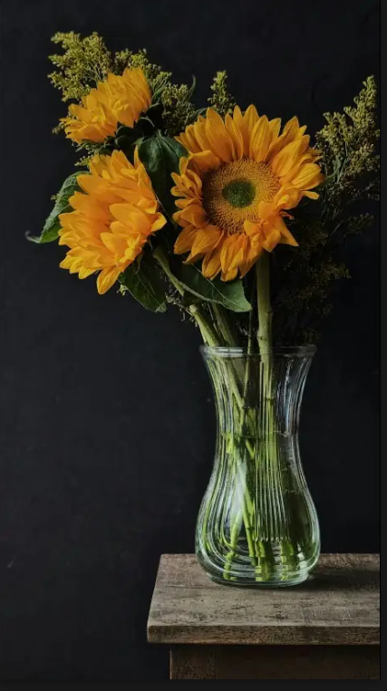 Oil Painting for Everybody! Floral Edition 