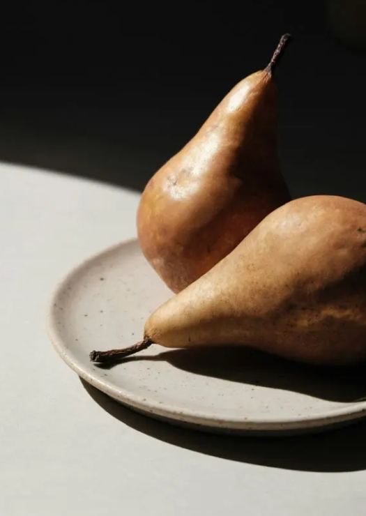 Oil Painting for Everybody! Still Life Edition 