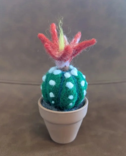 Needle Felted Succulent Series: Star Cactus