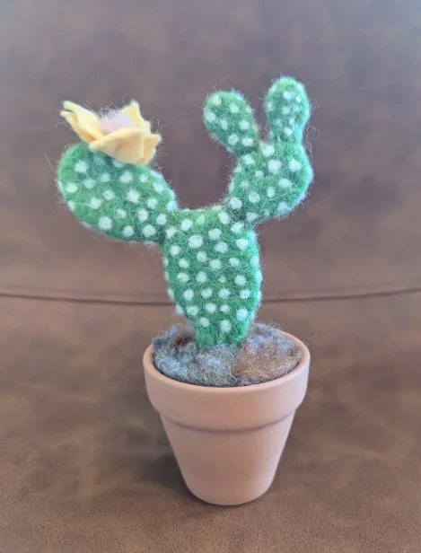 Needle Felted Succulent Series: Bunny Ear Cactus