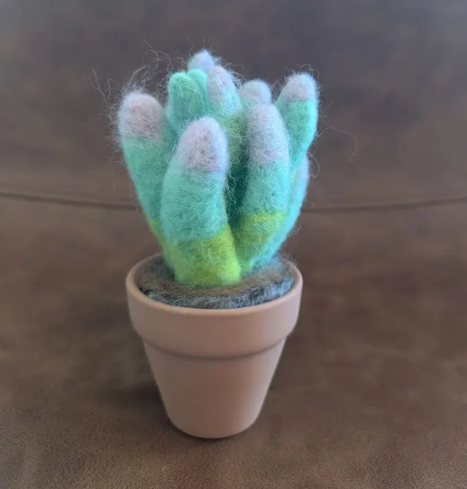 Needle Felted Succulent Series: Sedum Adolphi
