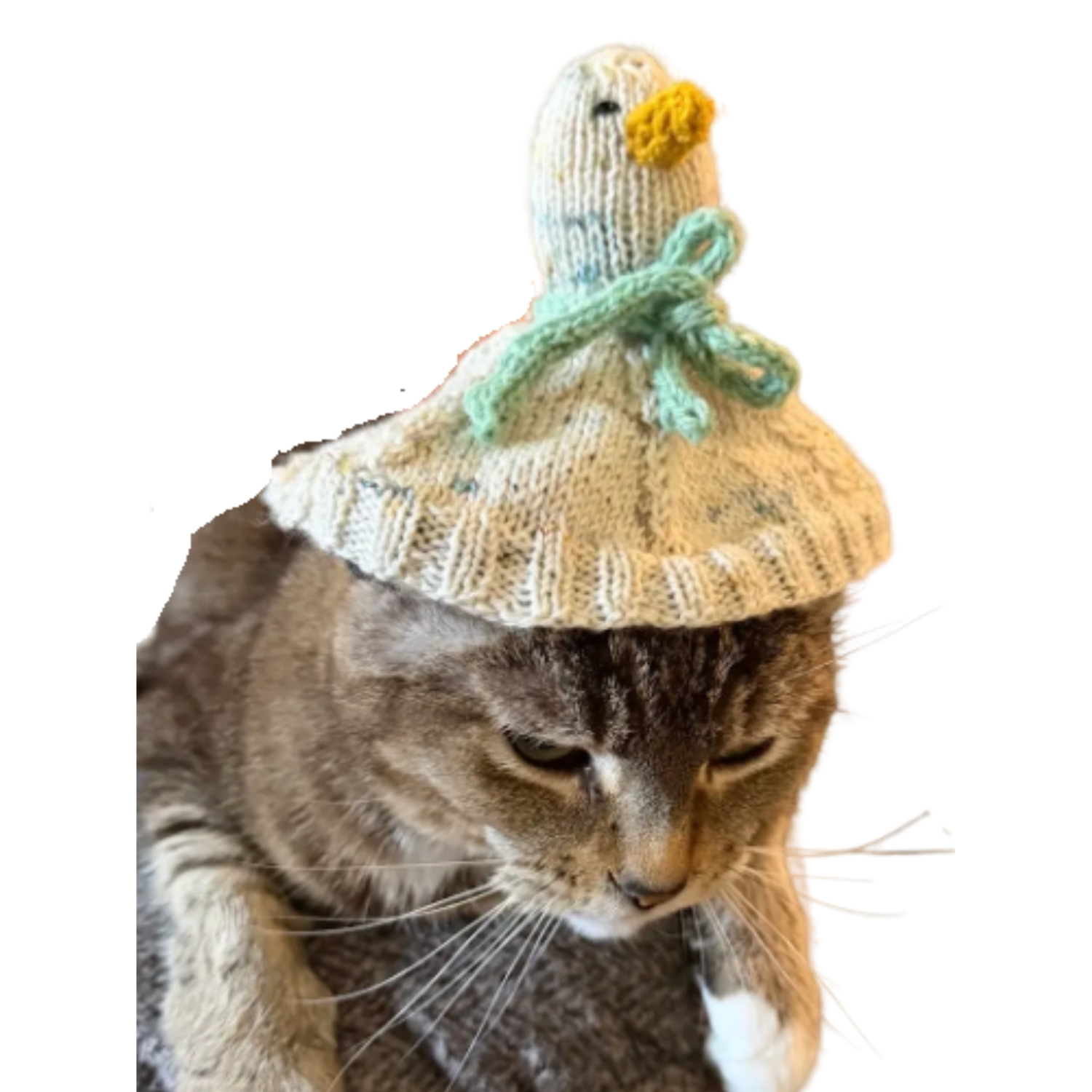 Knit a Lucky Duck