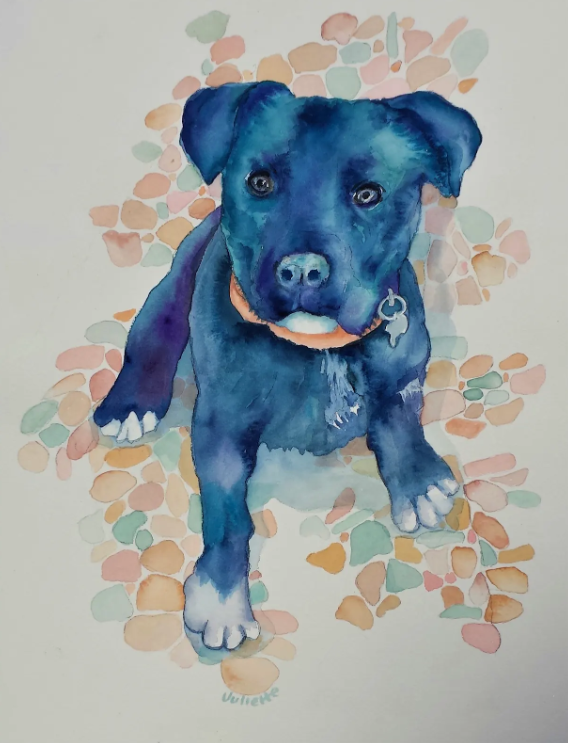 Paint your Pet