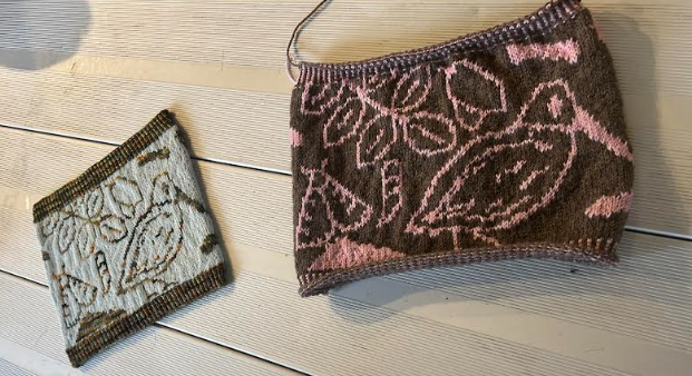 Knit and Learn with University of Virginia Environmental Sciences Graduate Students