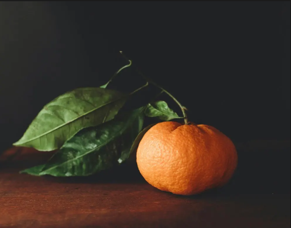 Oil Painting for Everybody! Still Life Edition 