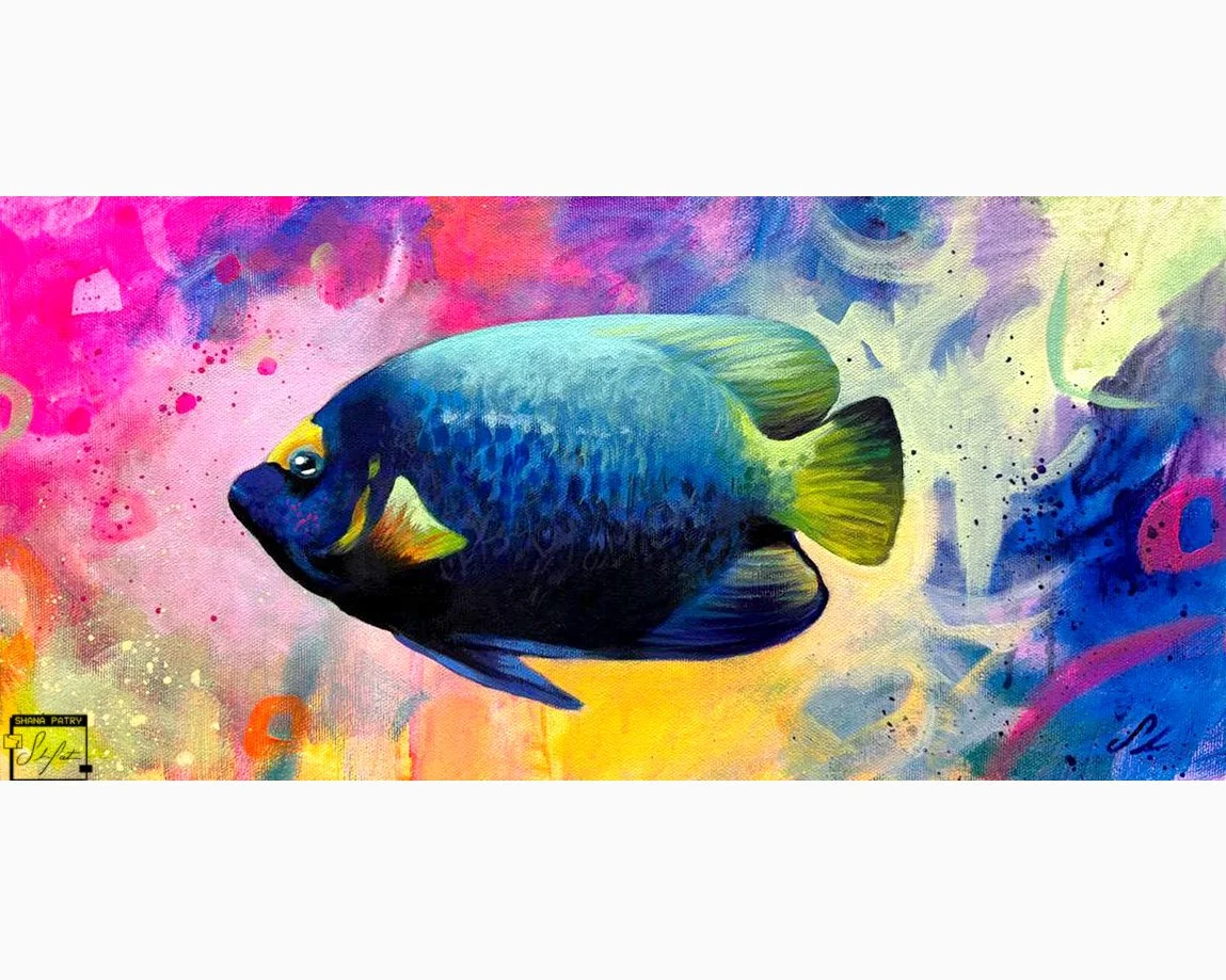 "Blue angelfish" 8x16 inches