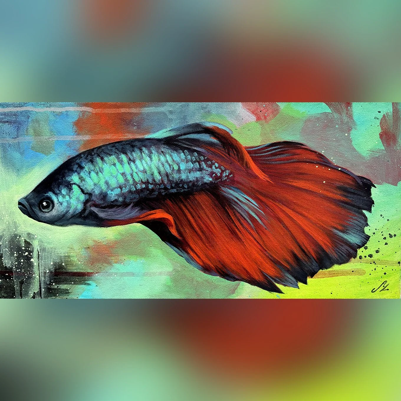 betta.jpg