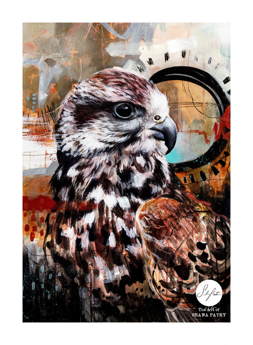 falcon uncropped low.jpg