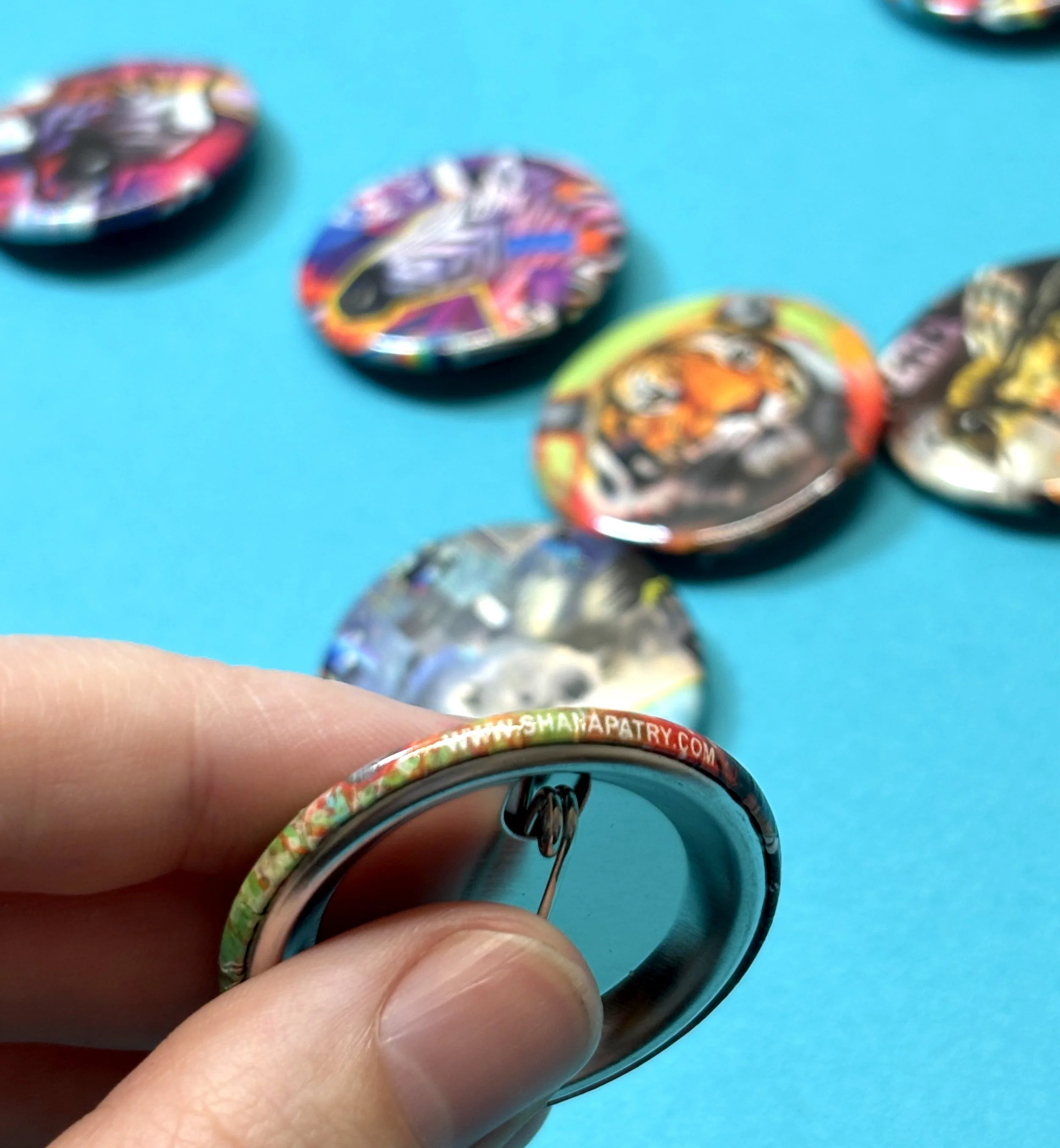 IMG_7015.jpg (copie) (copie)