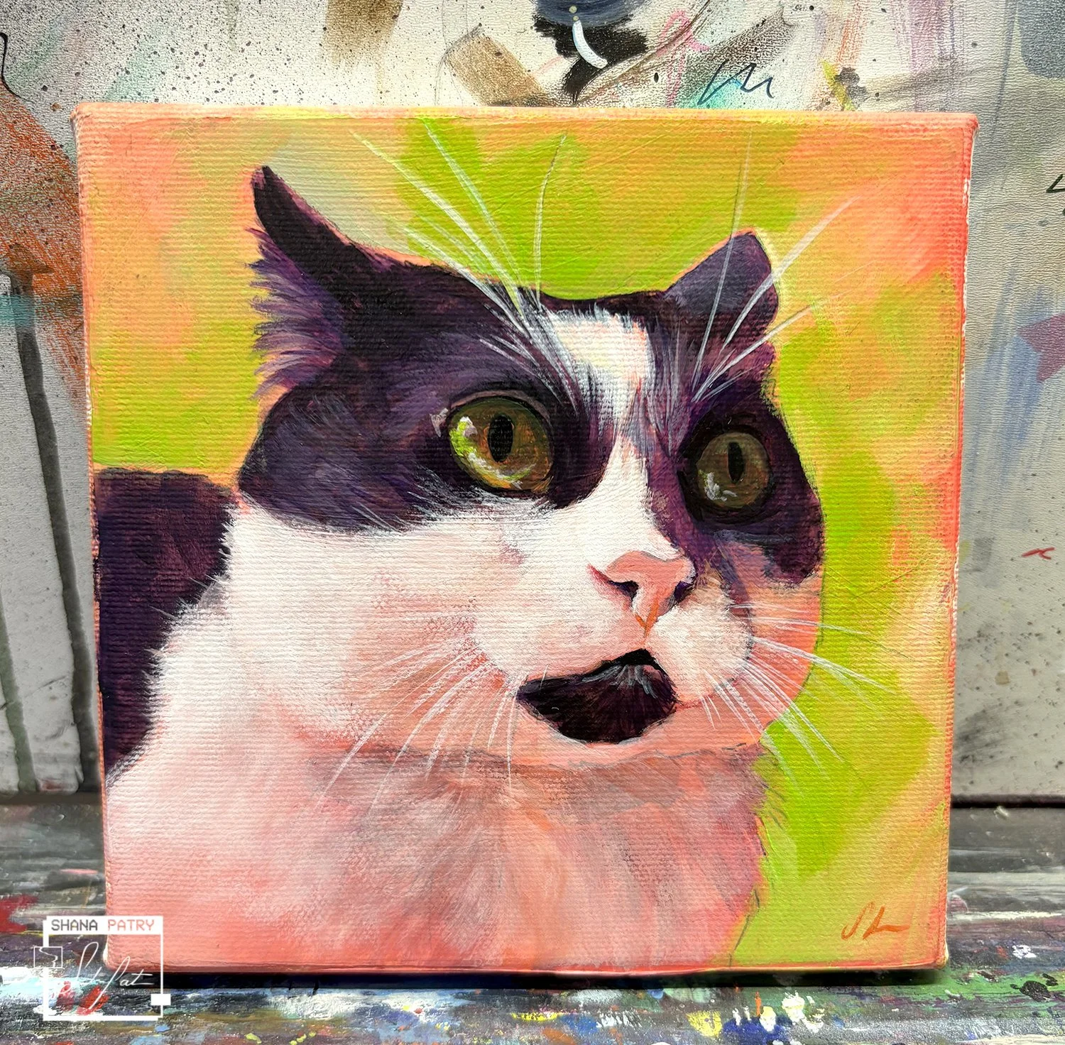 cat3-shanapatry.jpg