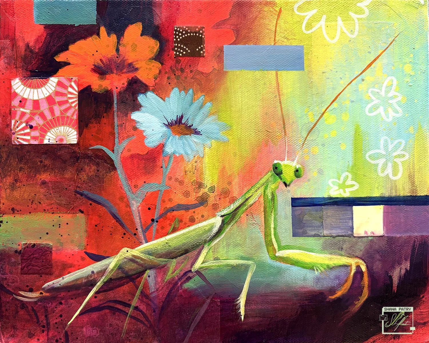 mantis2-shanapatry.jpg