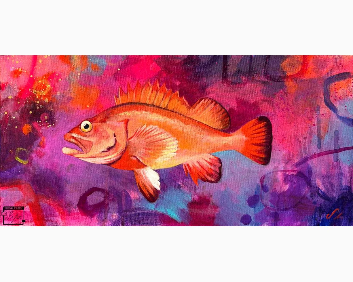 "Sebaste" 8x16 inches