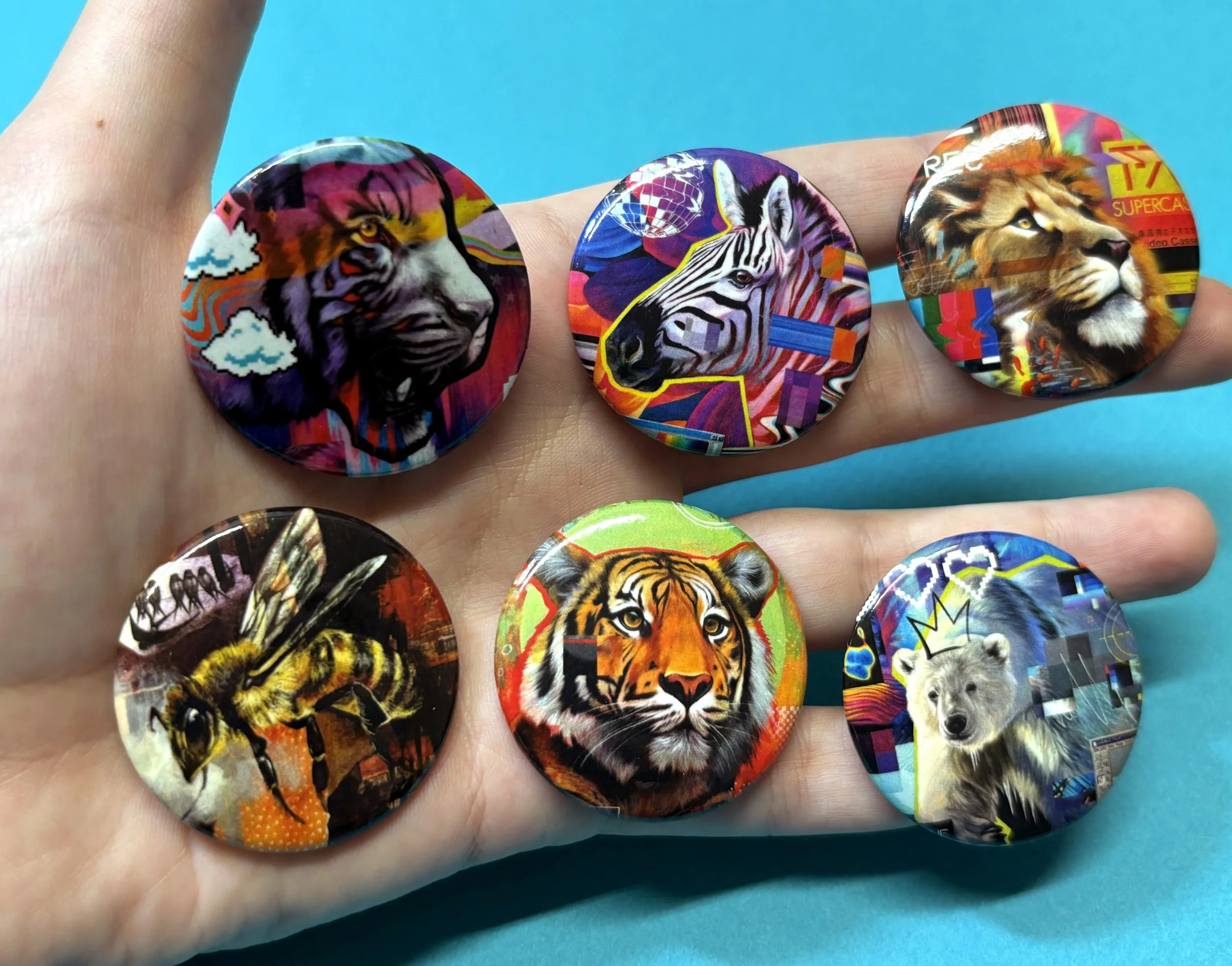 IMG_7014.jpg (copie) (copie)