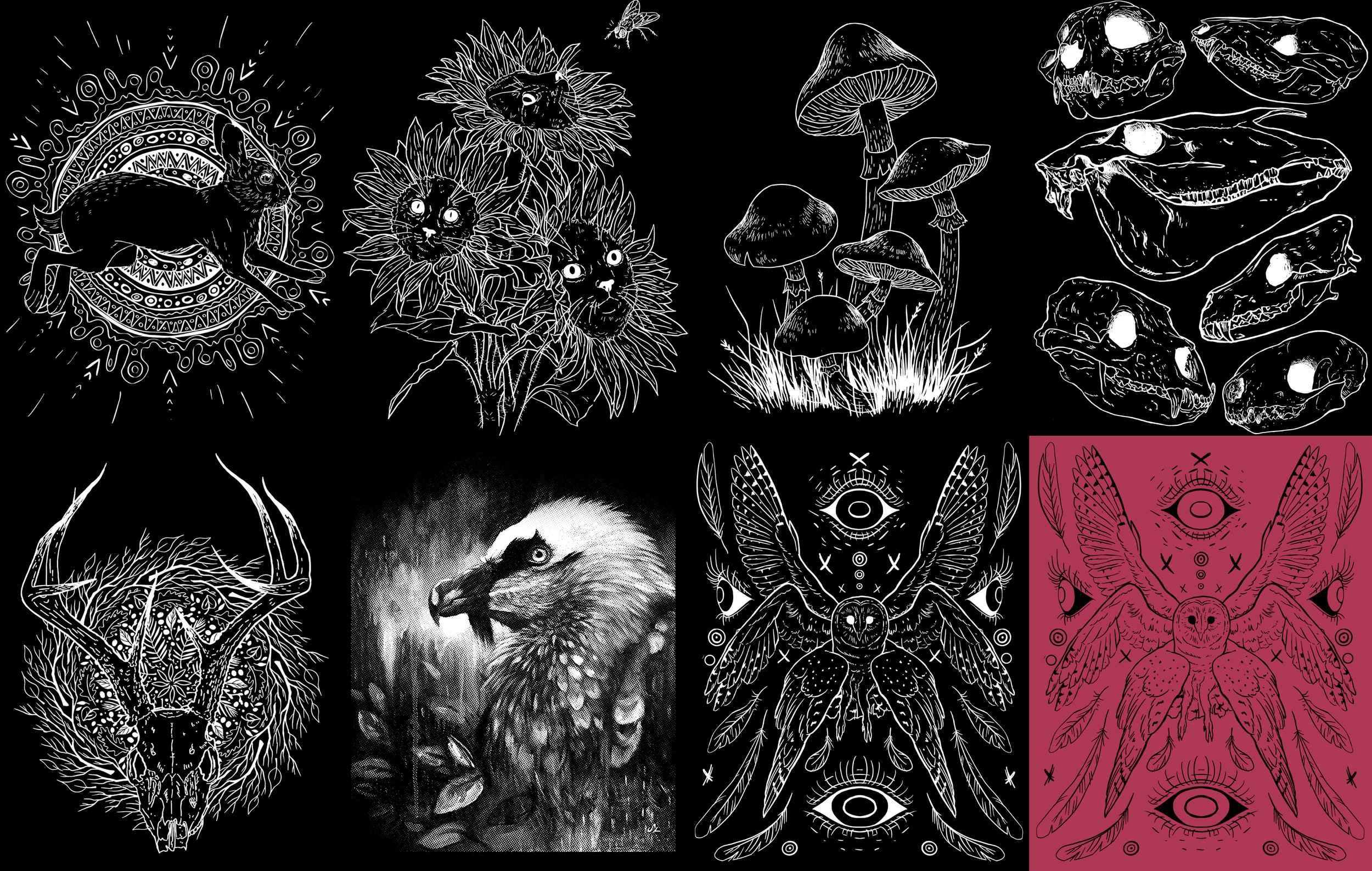 last shirts.jpg