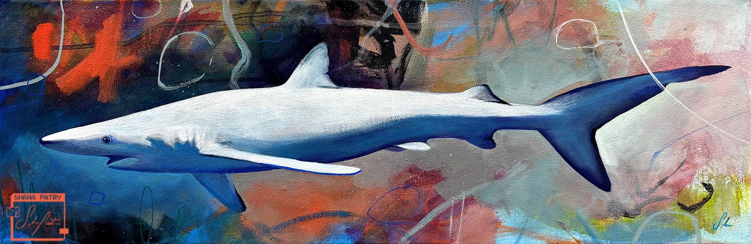 requin2-shanapatry.jpg