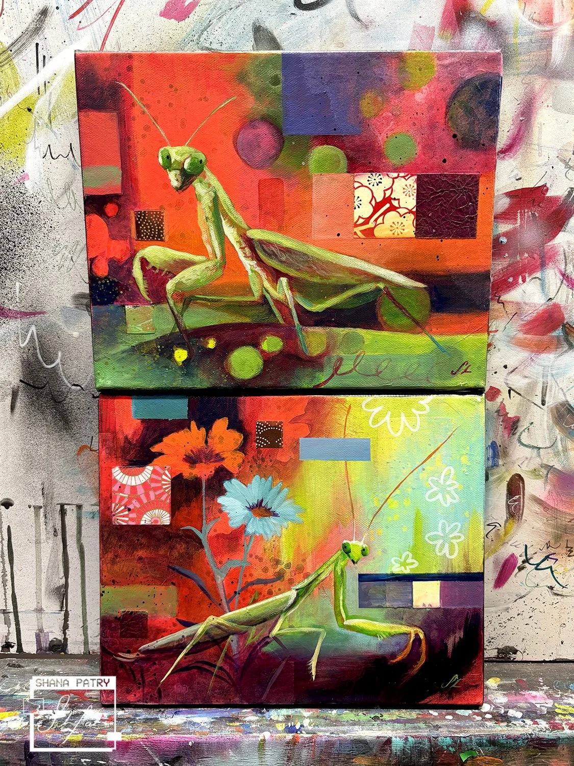 mantis-together-shanapatry.jpg