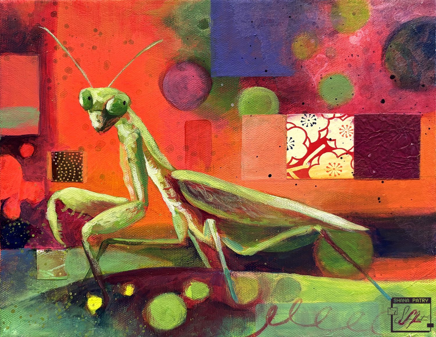 mantis1-shanapatry.jpg