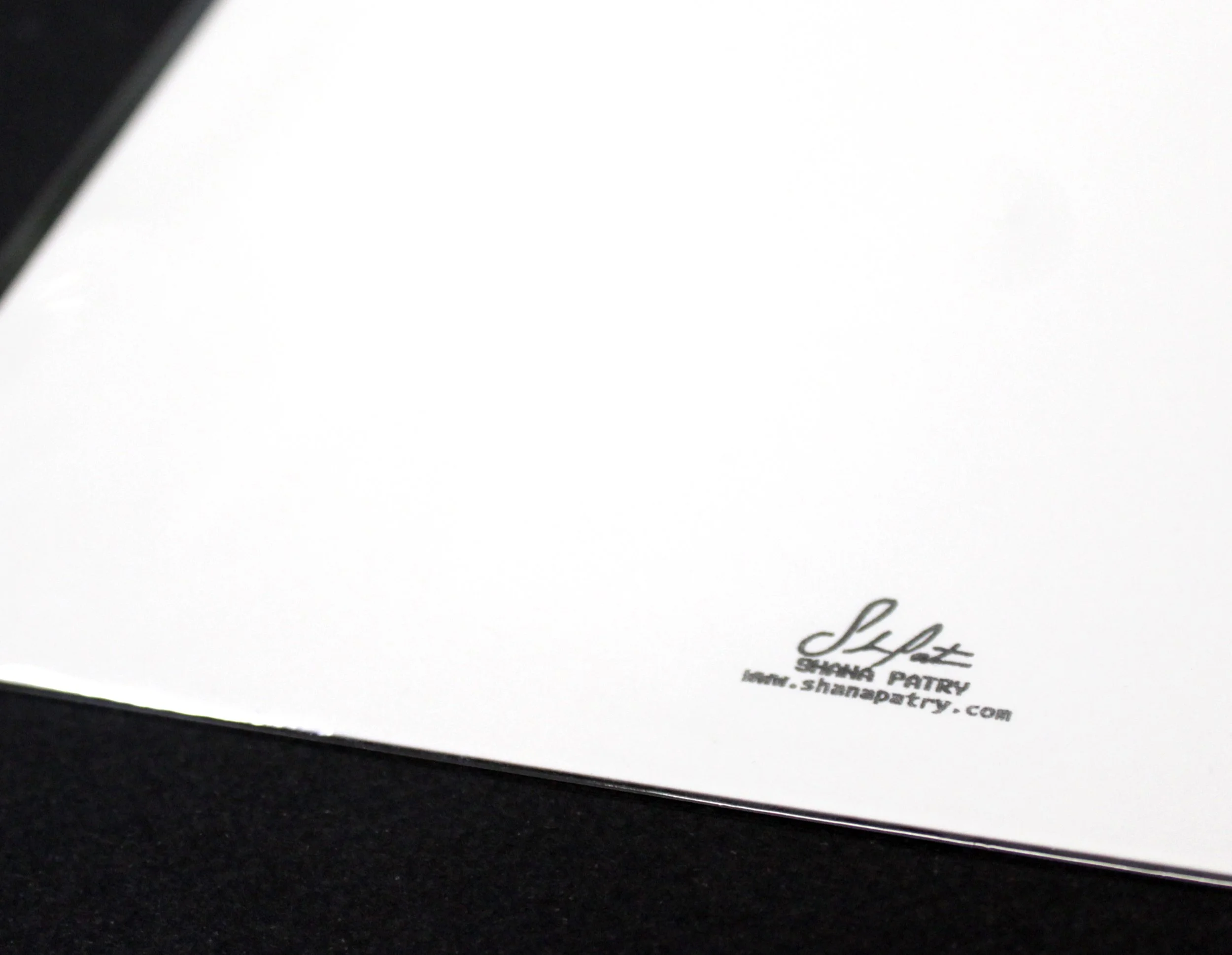 IMG_2425.JPG (copie)