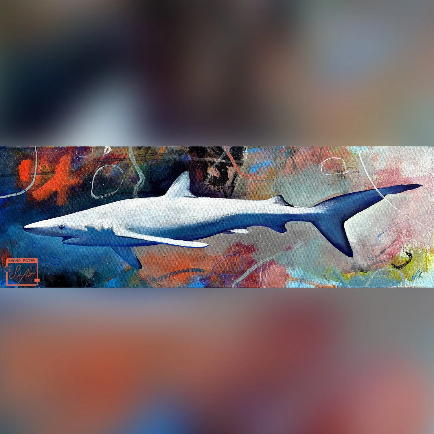 requin2-shanapatry copy.jpg