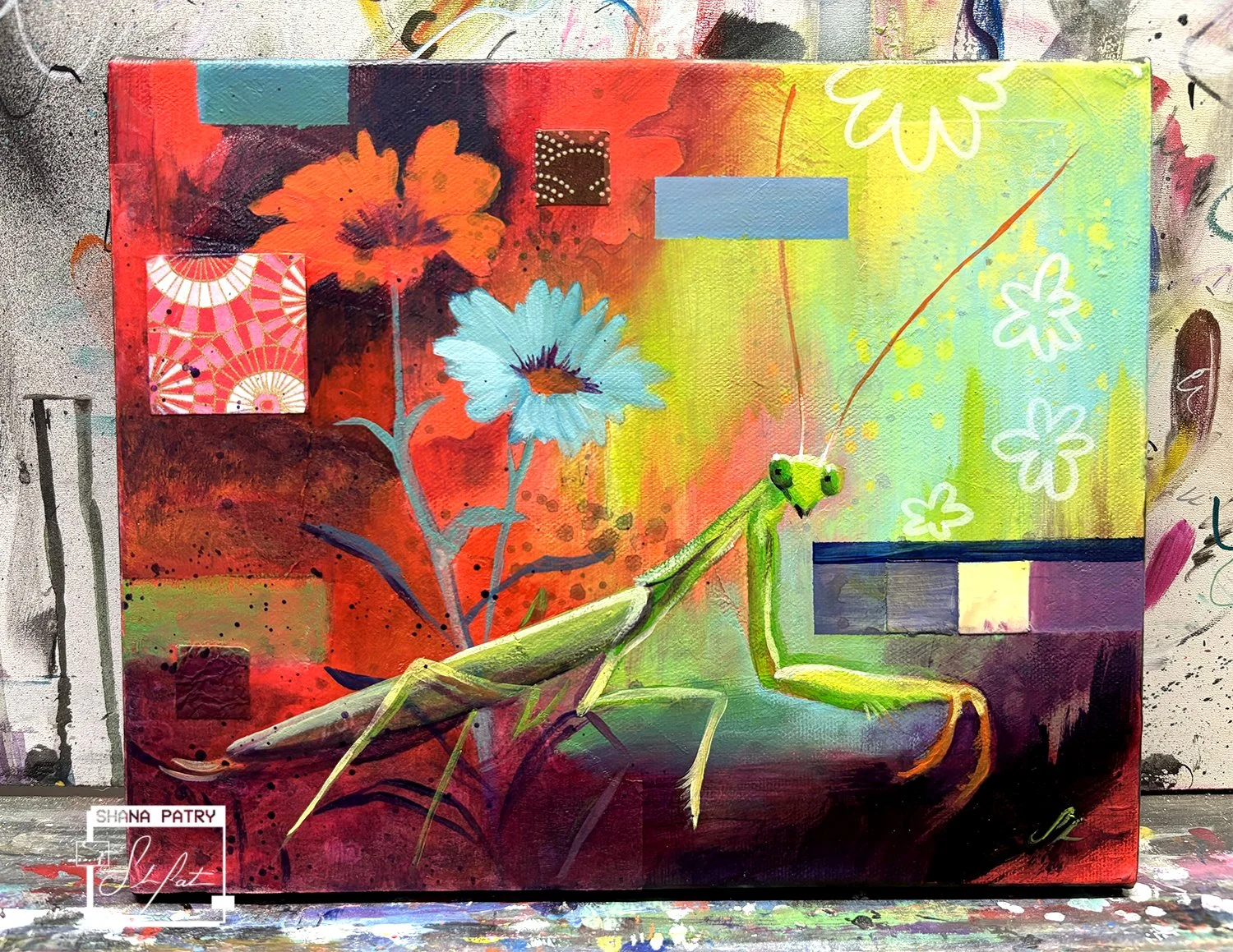 mantis-2-shanapatry.jpg