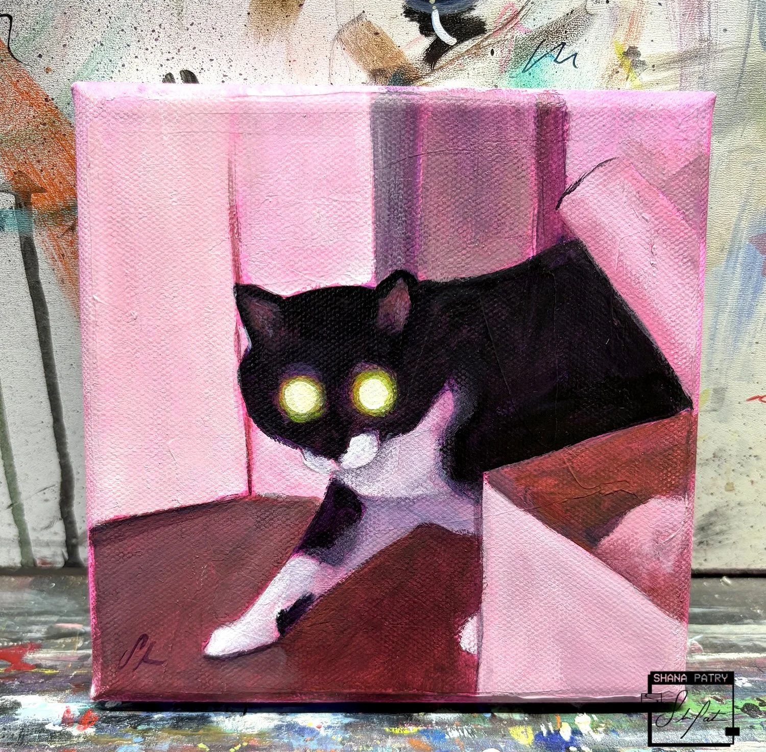 cat4-shanapatry.jpg