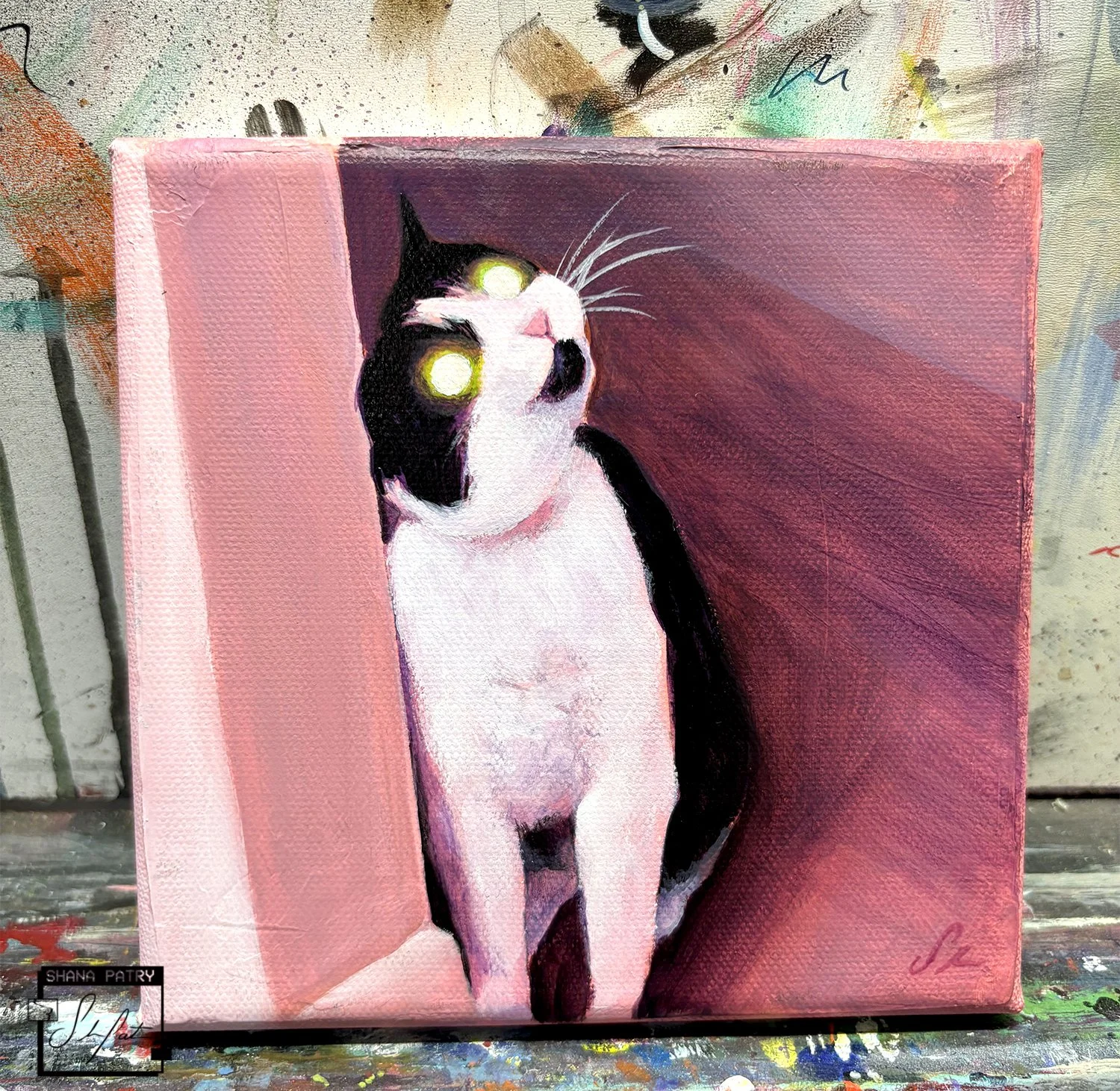 cat2-shanapatry.jpg