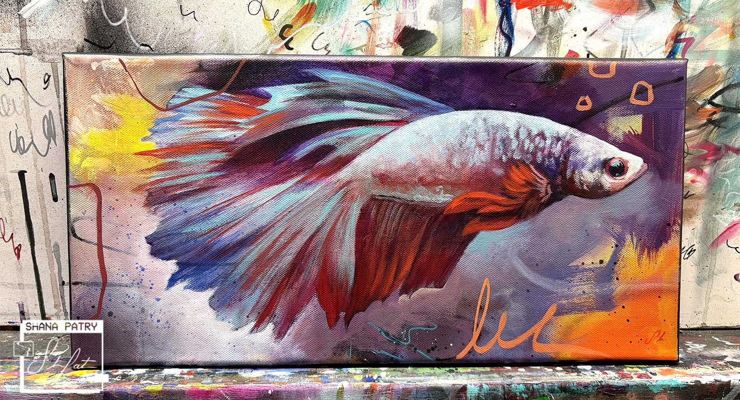 betta1-shanapatry.jpg