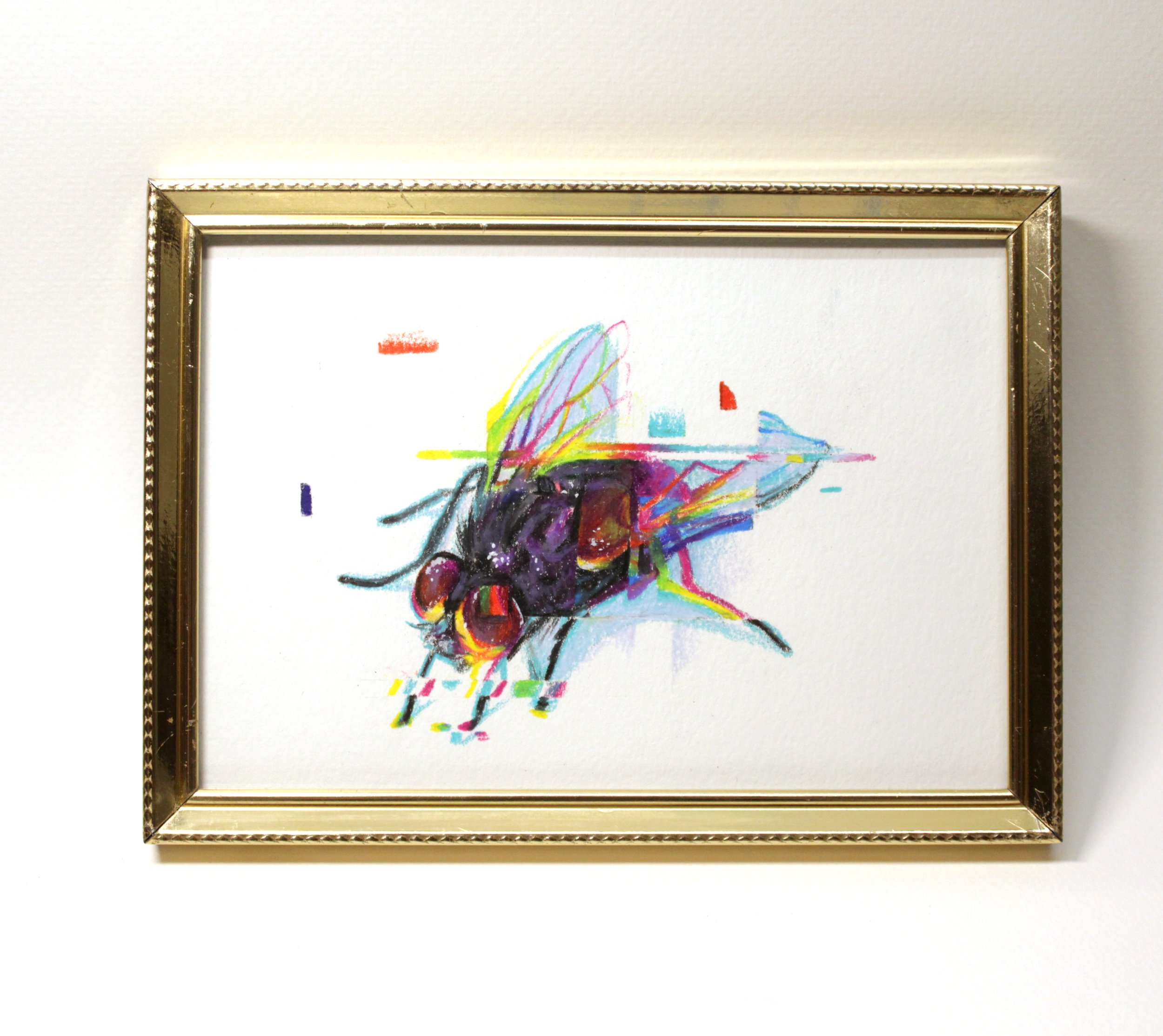 Glitchy fly original illustration on paper. 5x7 inches