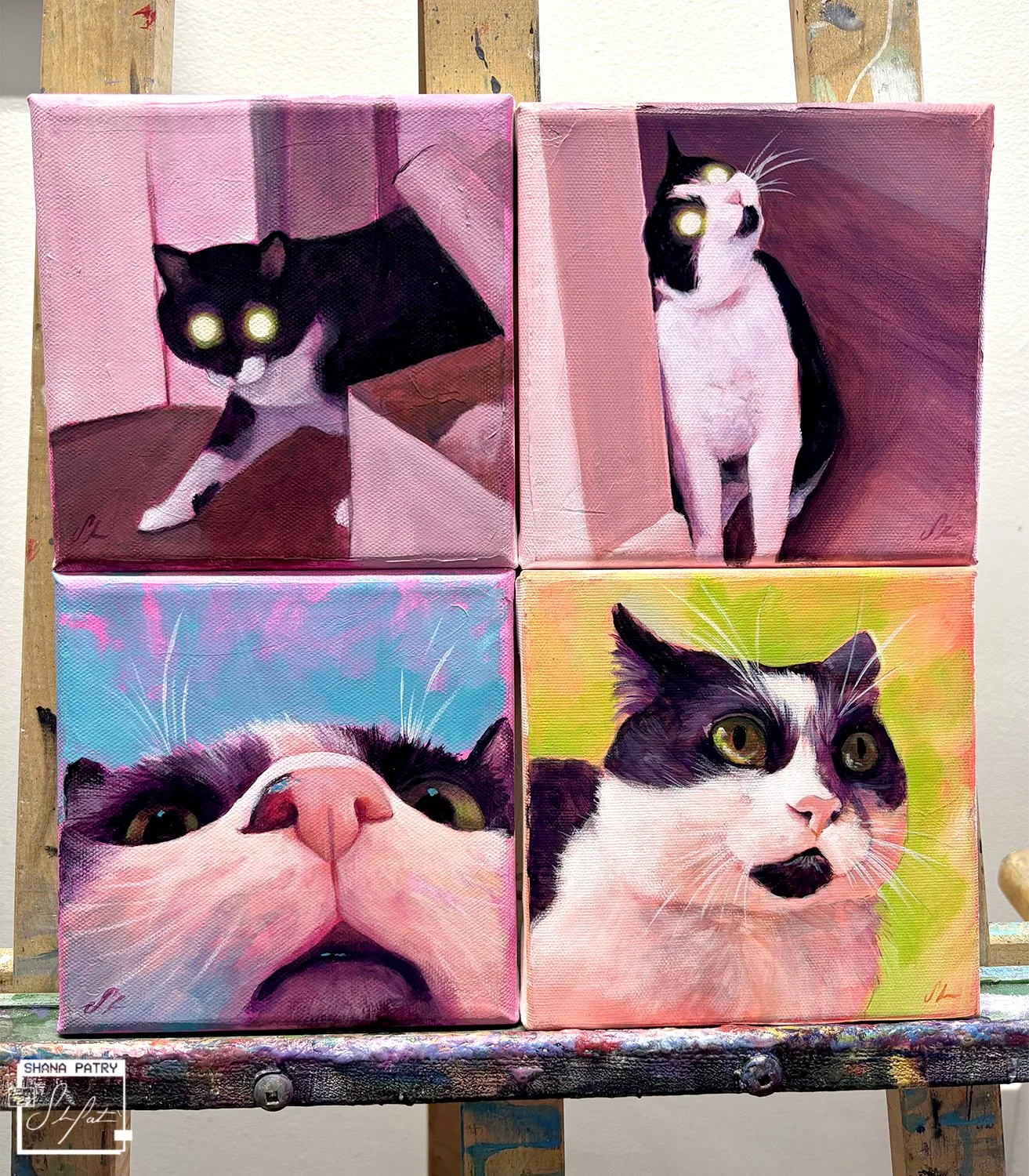 cats-shanapatry.jpg (copie) (copie)