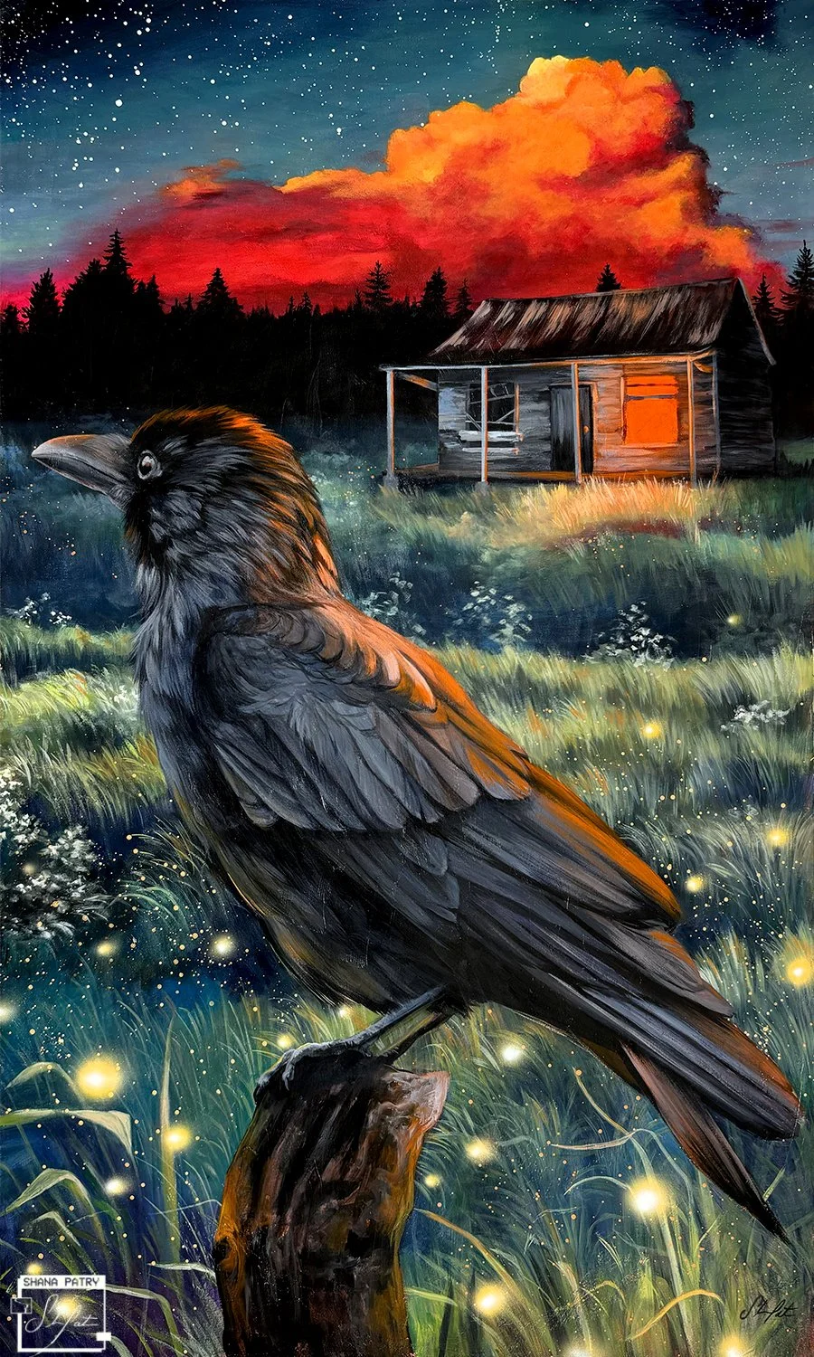 fireflies-shanapatry.jpg