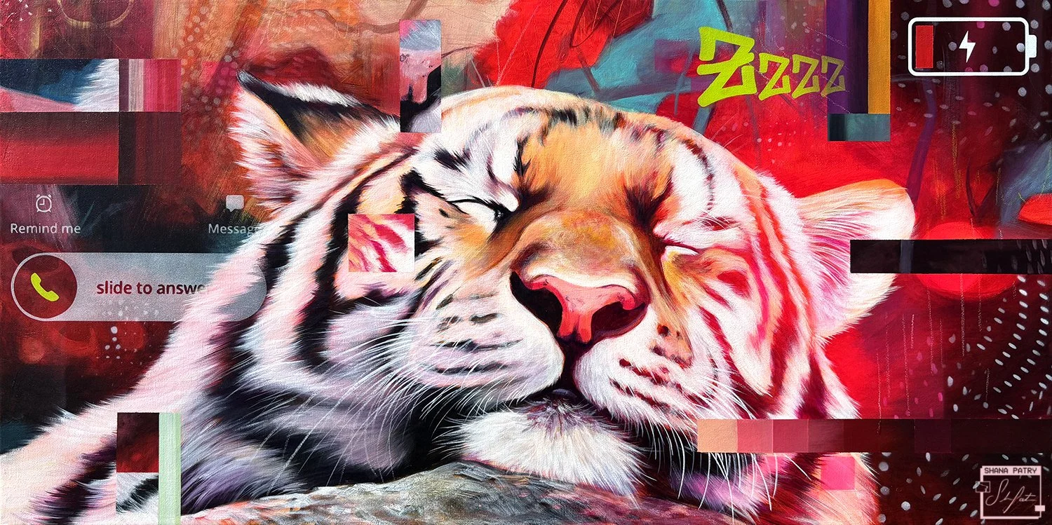 "Do not disturb" 15x30 inches