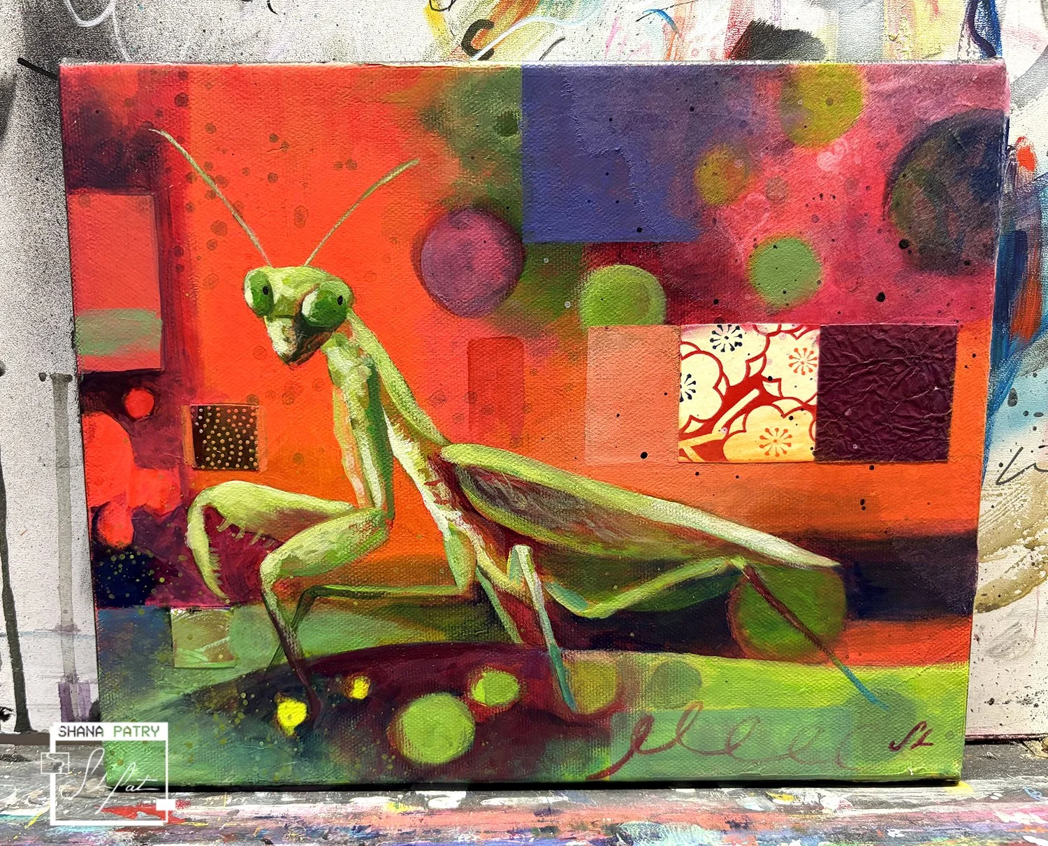 mantis-shanapatry.jpg