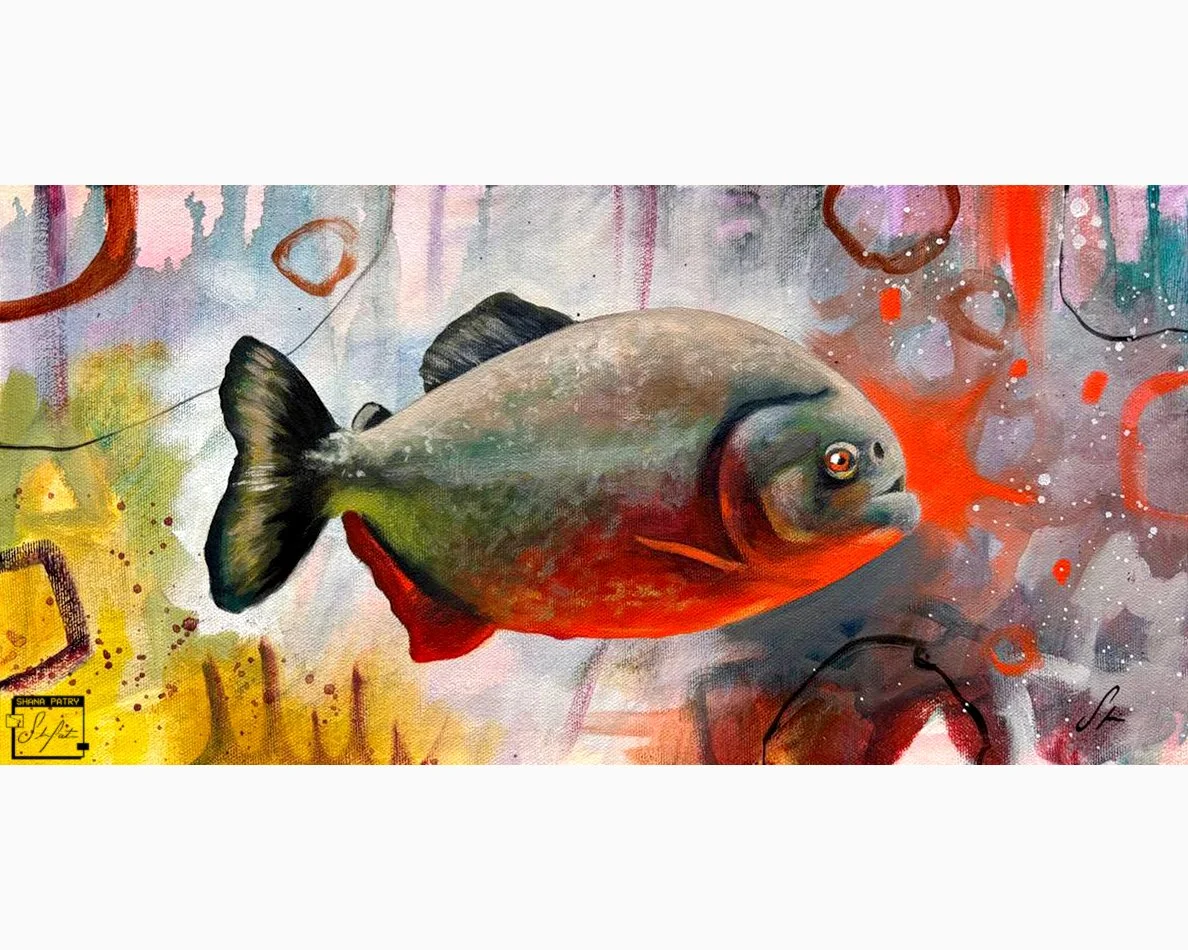 "Piranha" 8x16 inches