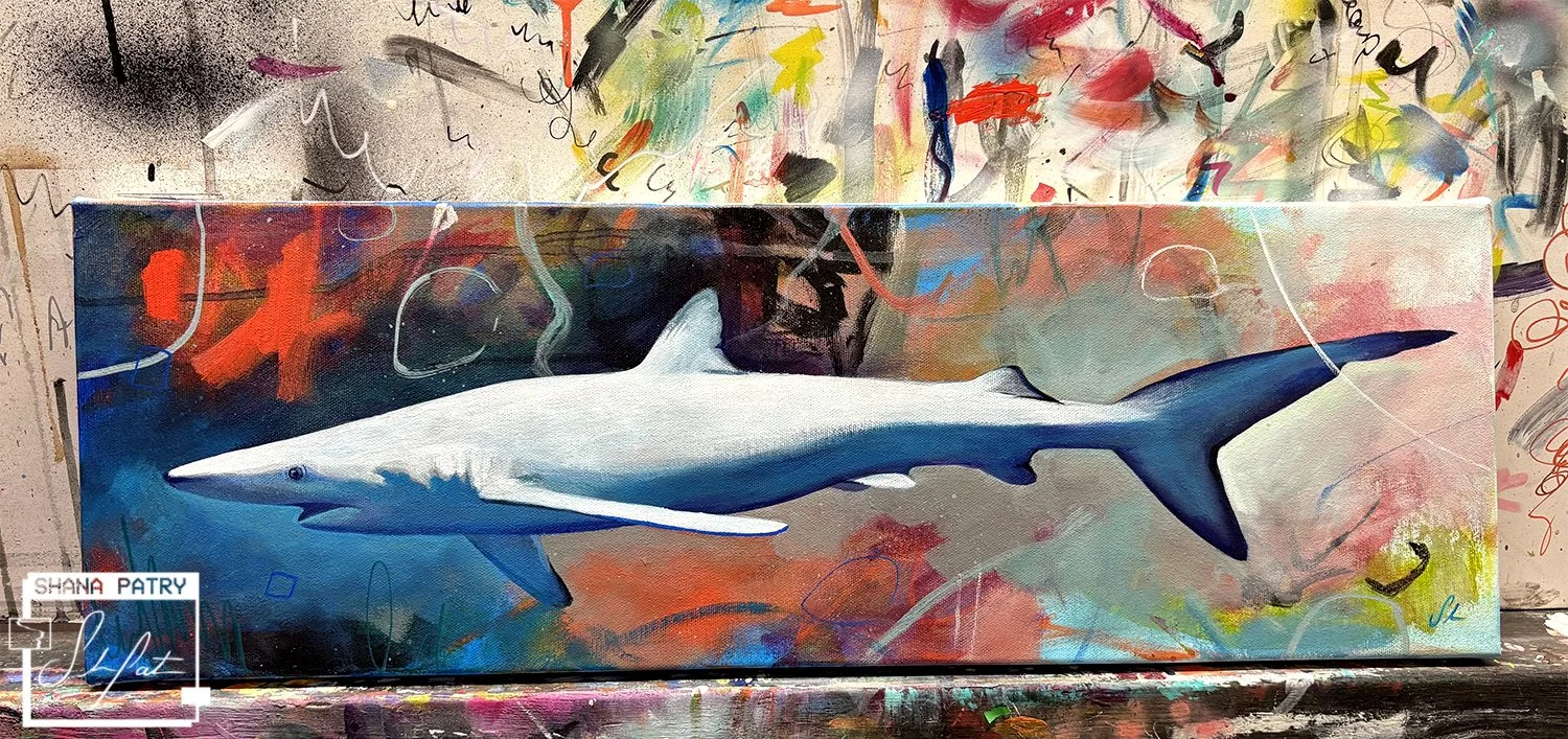 requin1-shanapatry.jpg