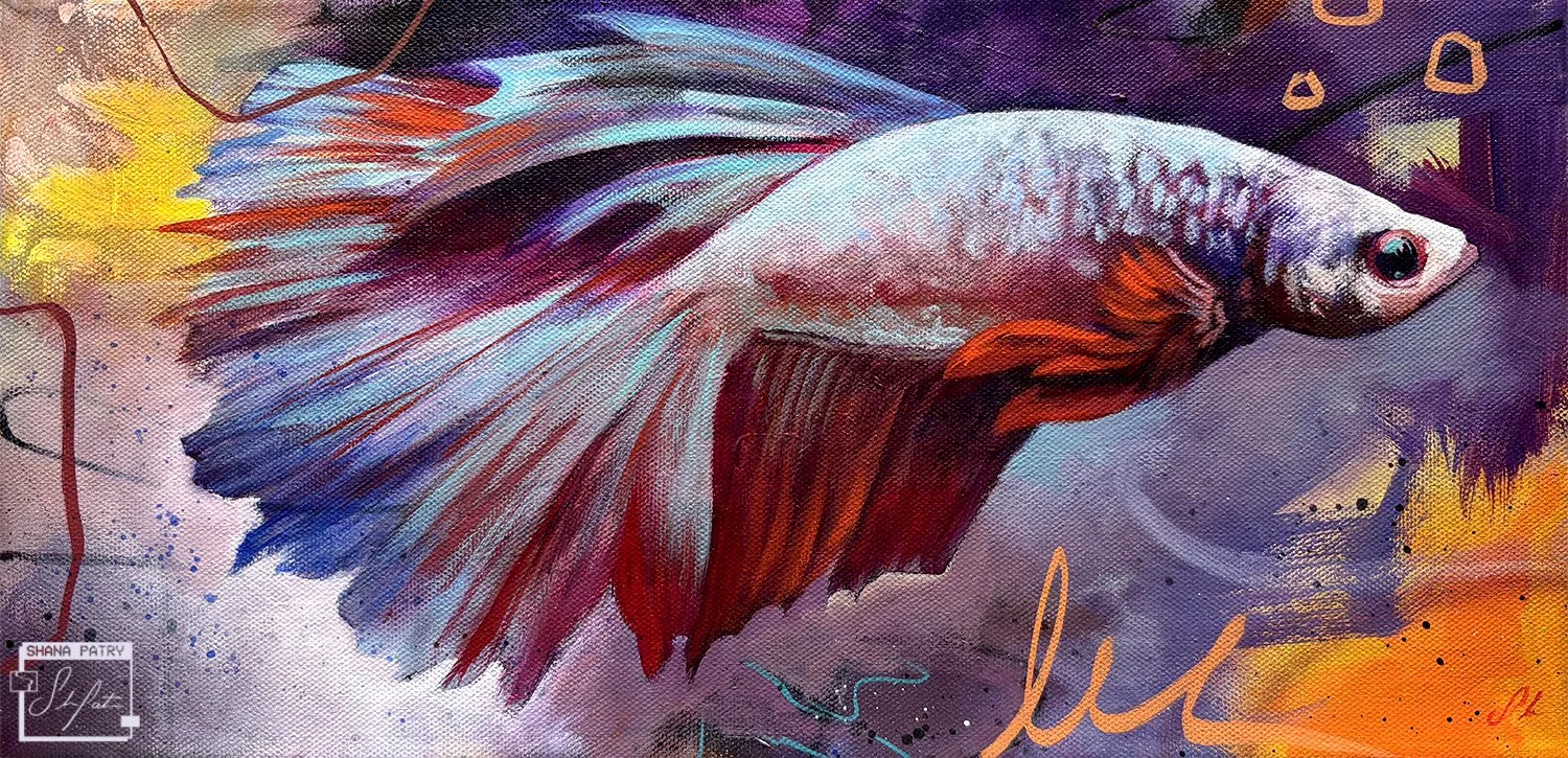 betta2-shanapatry.jpg