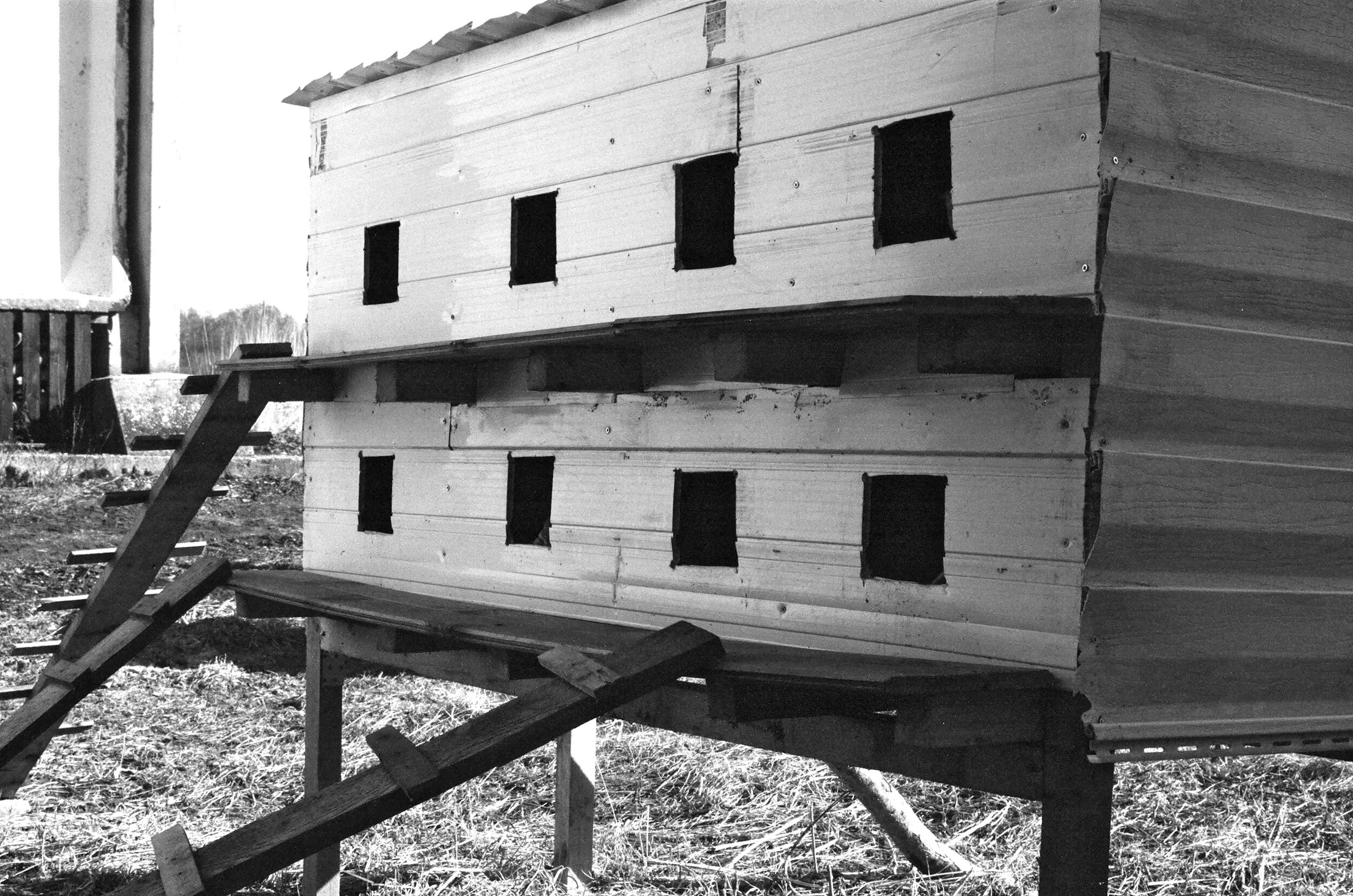 NEXT TO THE NURSING HOME FOR ELDERLY PEOPLE A COMMUNAL HOUSE FOR CATS IS BUILT.