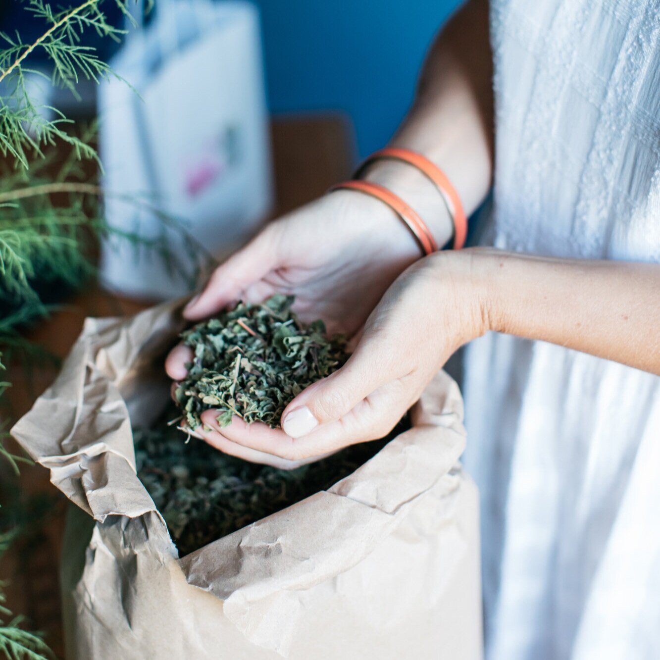 Brown sack of dried nutritional leaves