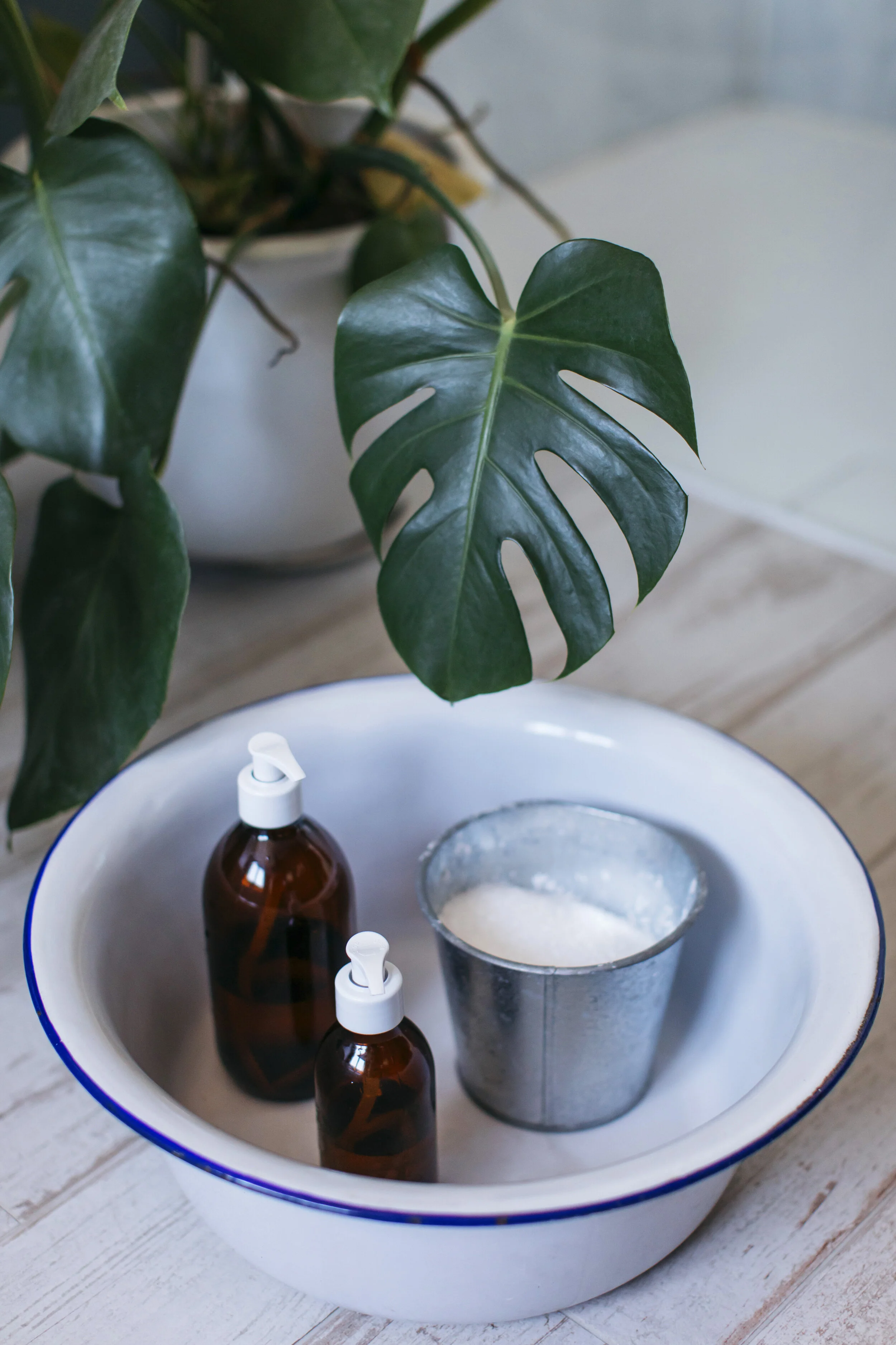 Holistic healthcare objects