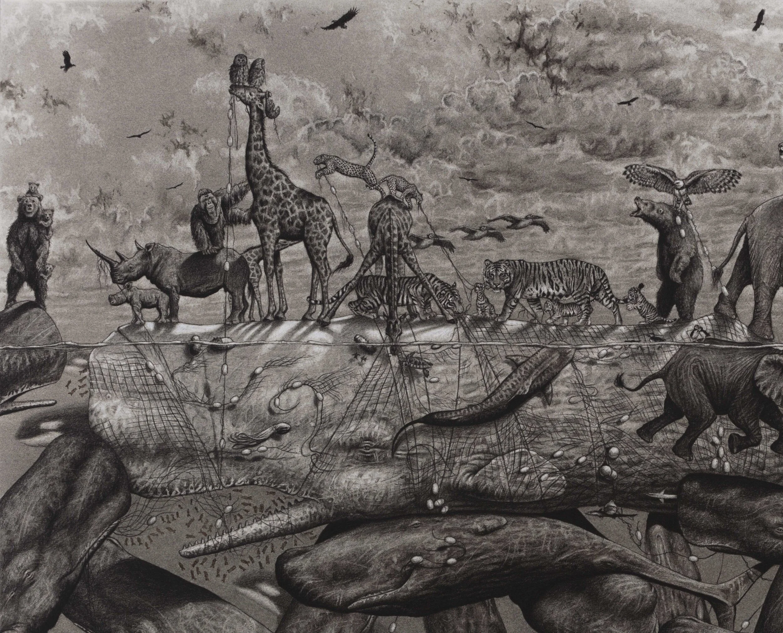 Sperm Whale-Fina-3l-Orig(29.75x40)-Not Sharpened.jpg