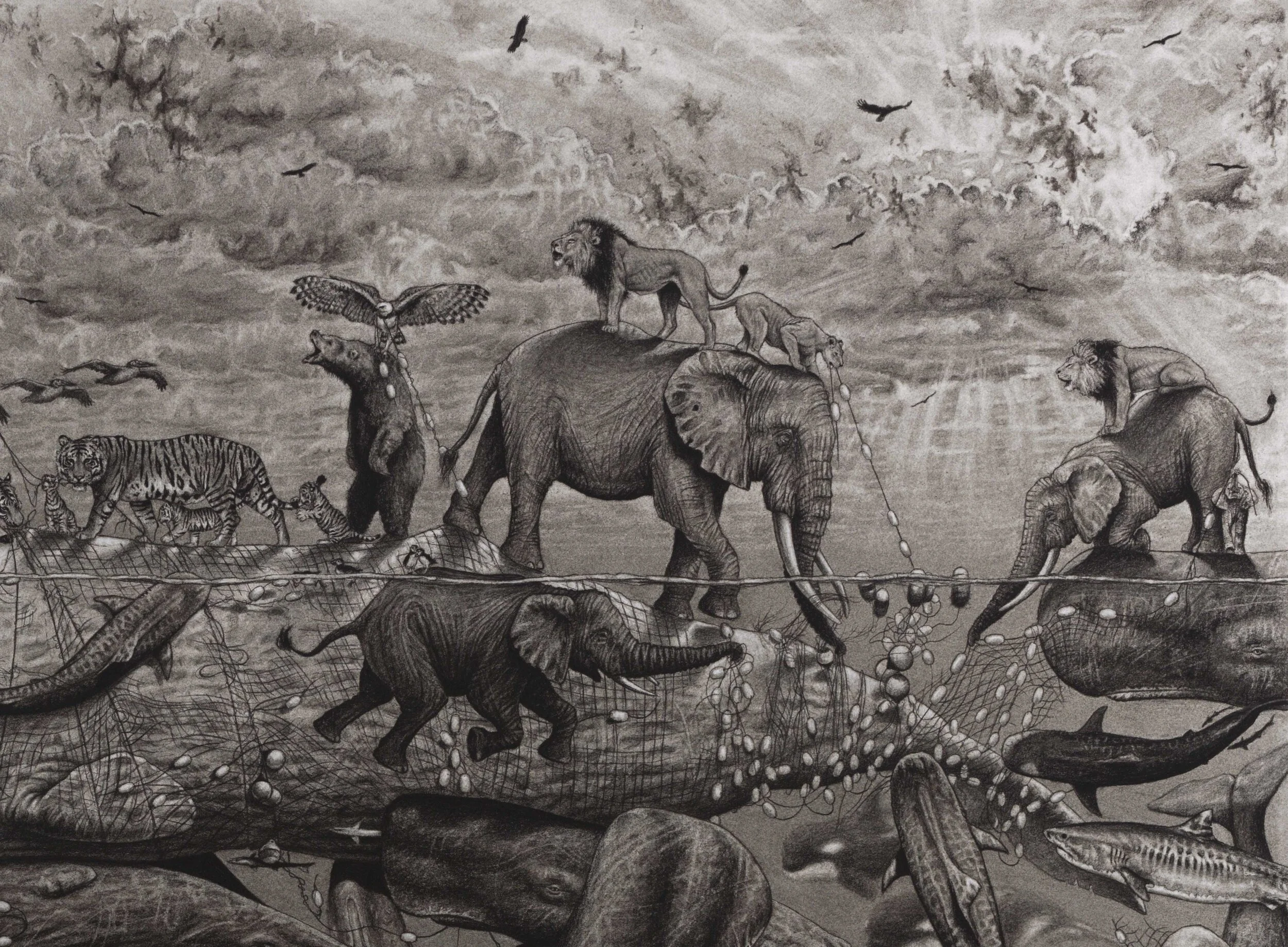 Sperm Whale-Final-2-Orig(29.75x40)-Not Sharpened.jpg