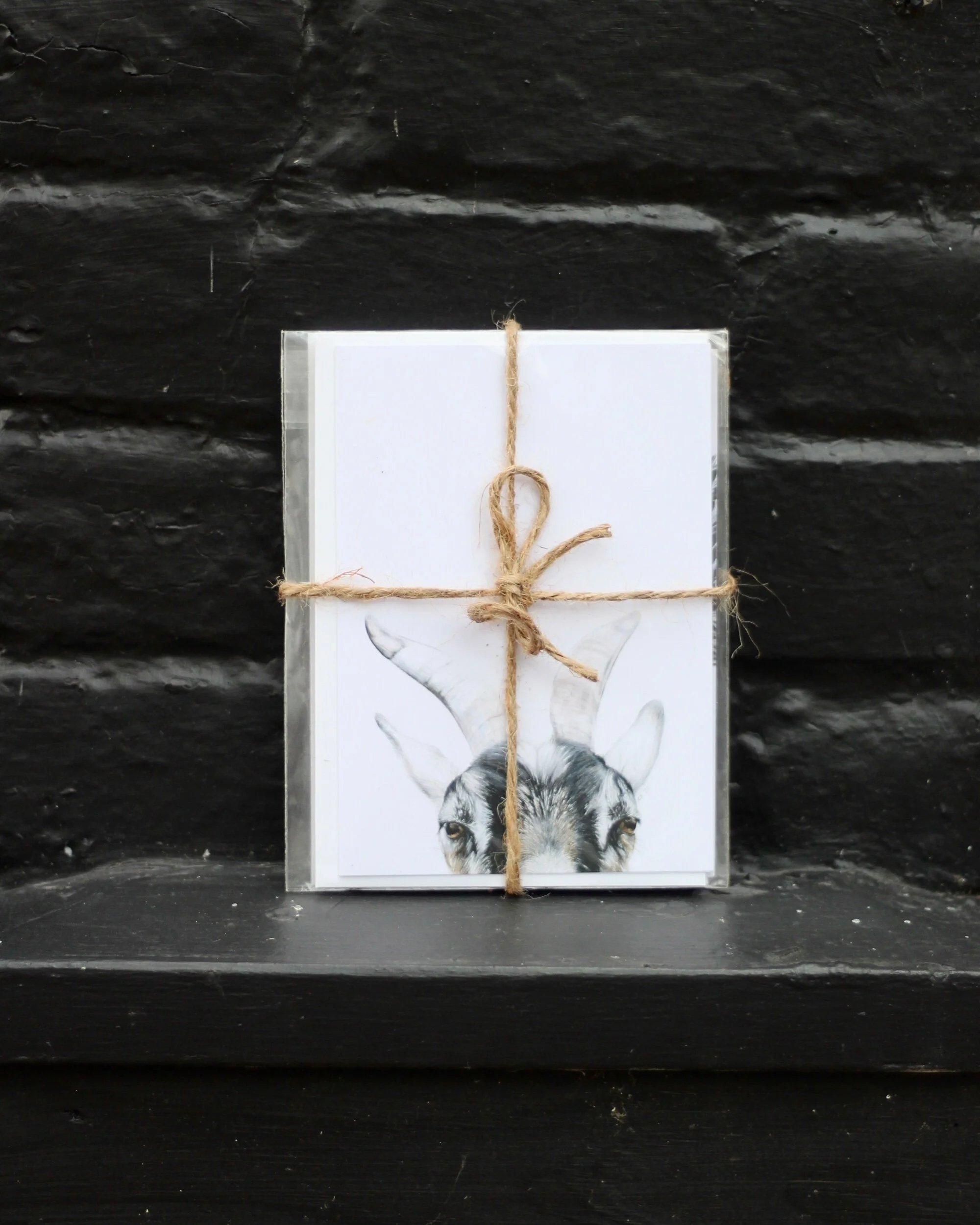 73E25EC3-EEE7-4D99-9BB5-F305ED6A1DCE