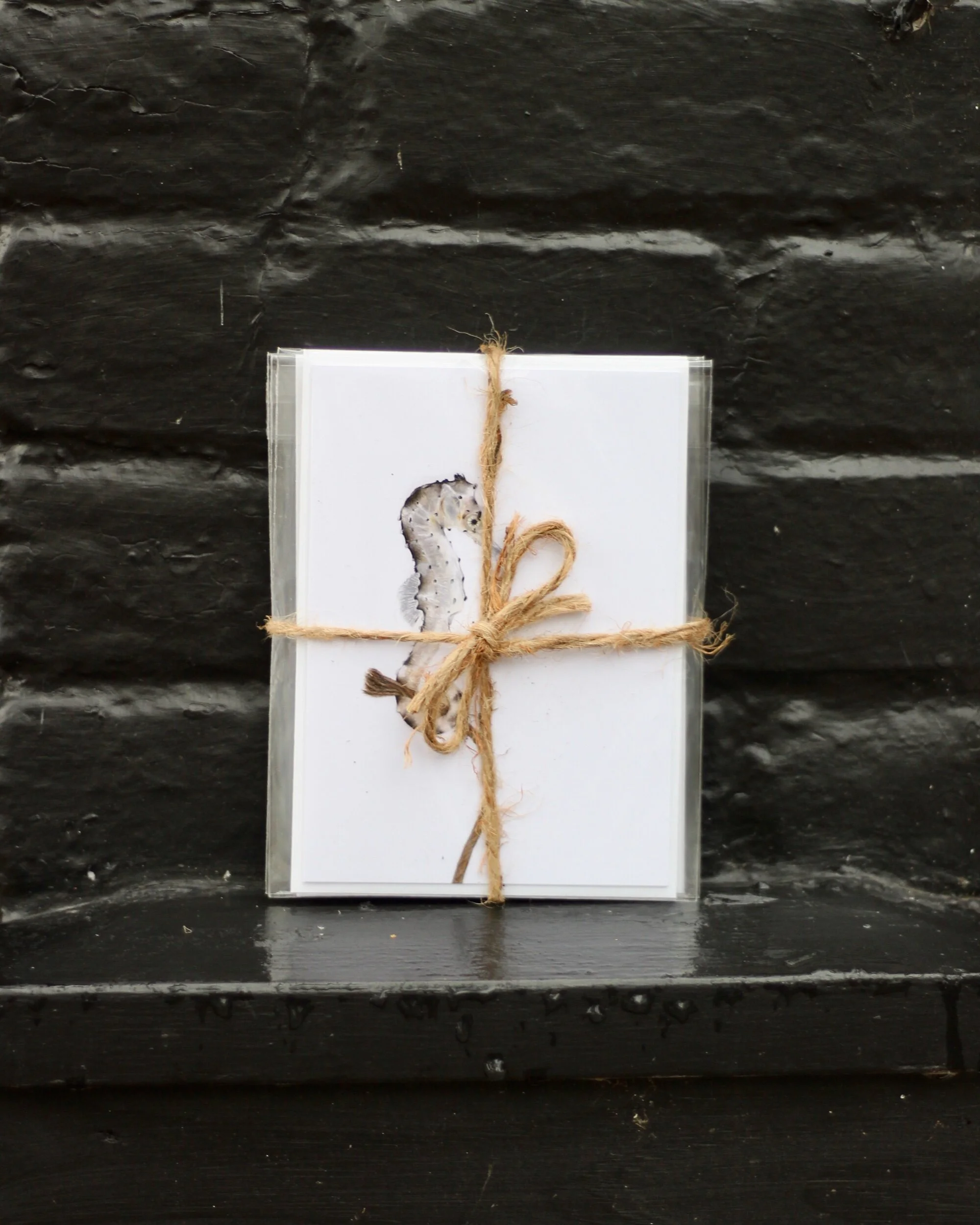 0FECF3F6-B9A2-4B14-9365-3901E49EAEED