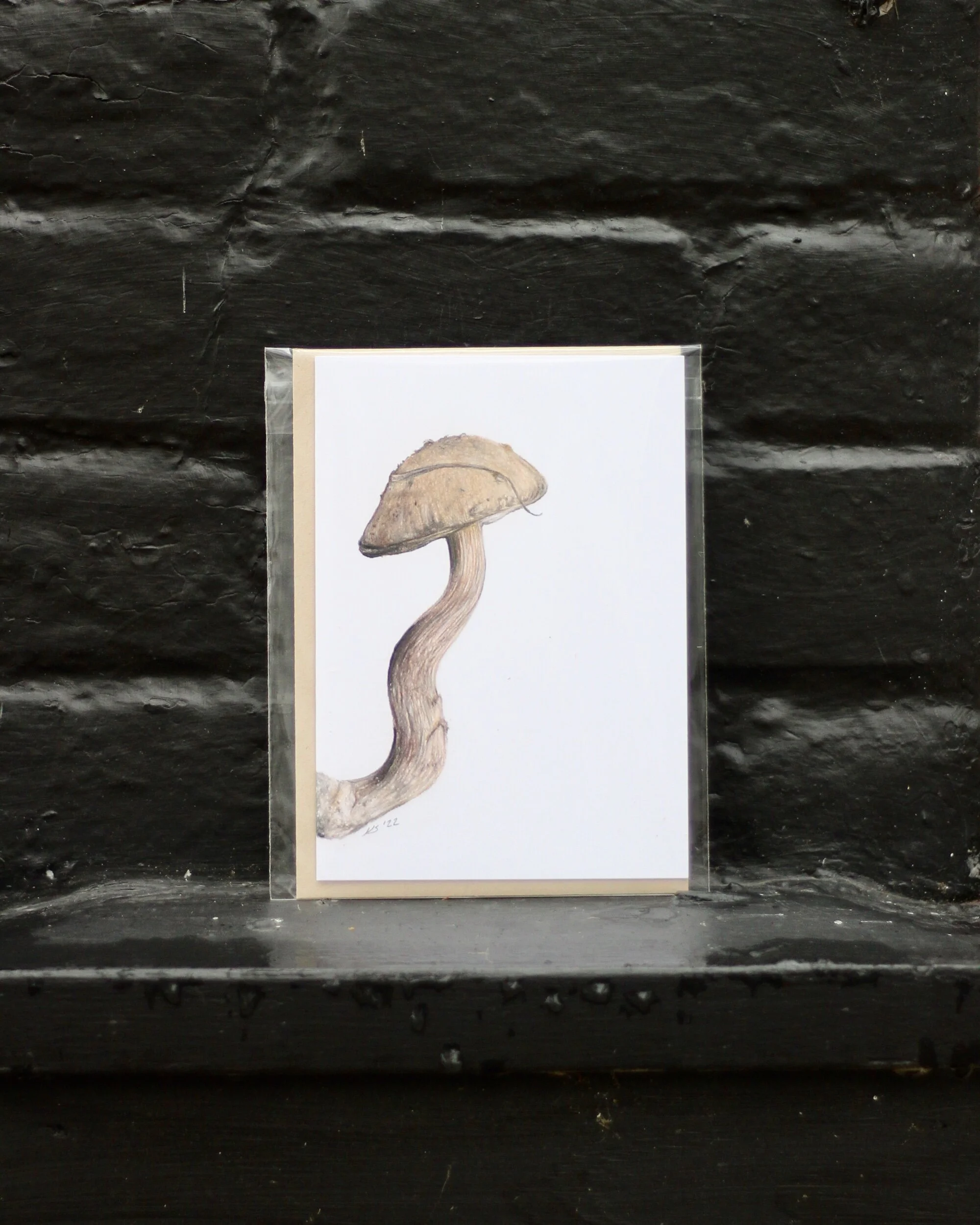 182AE705-FEA0-487E-B961-506D4BDBD9F7