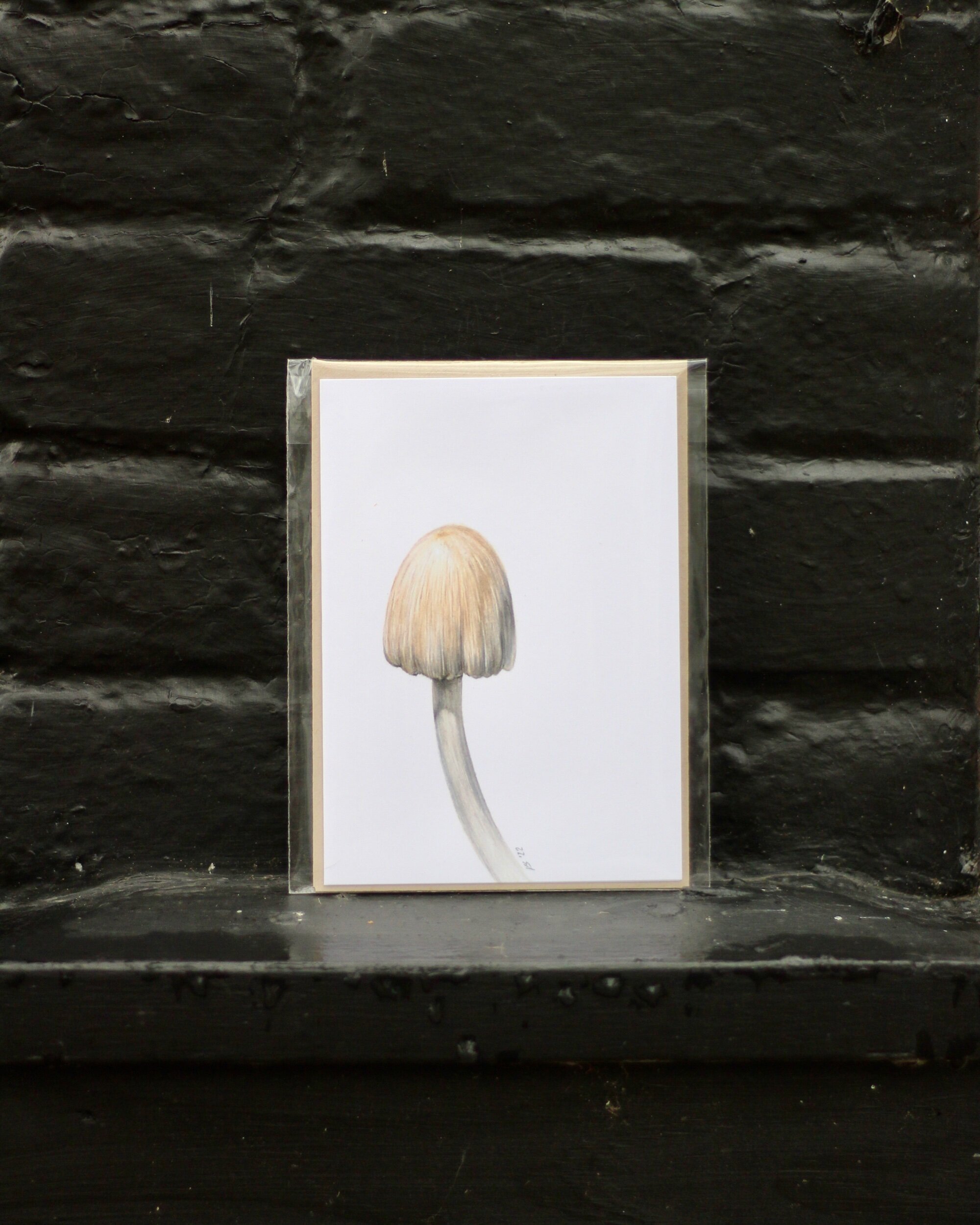 E3998EEB-0461-463E-BECF-03D4FE0D6D52