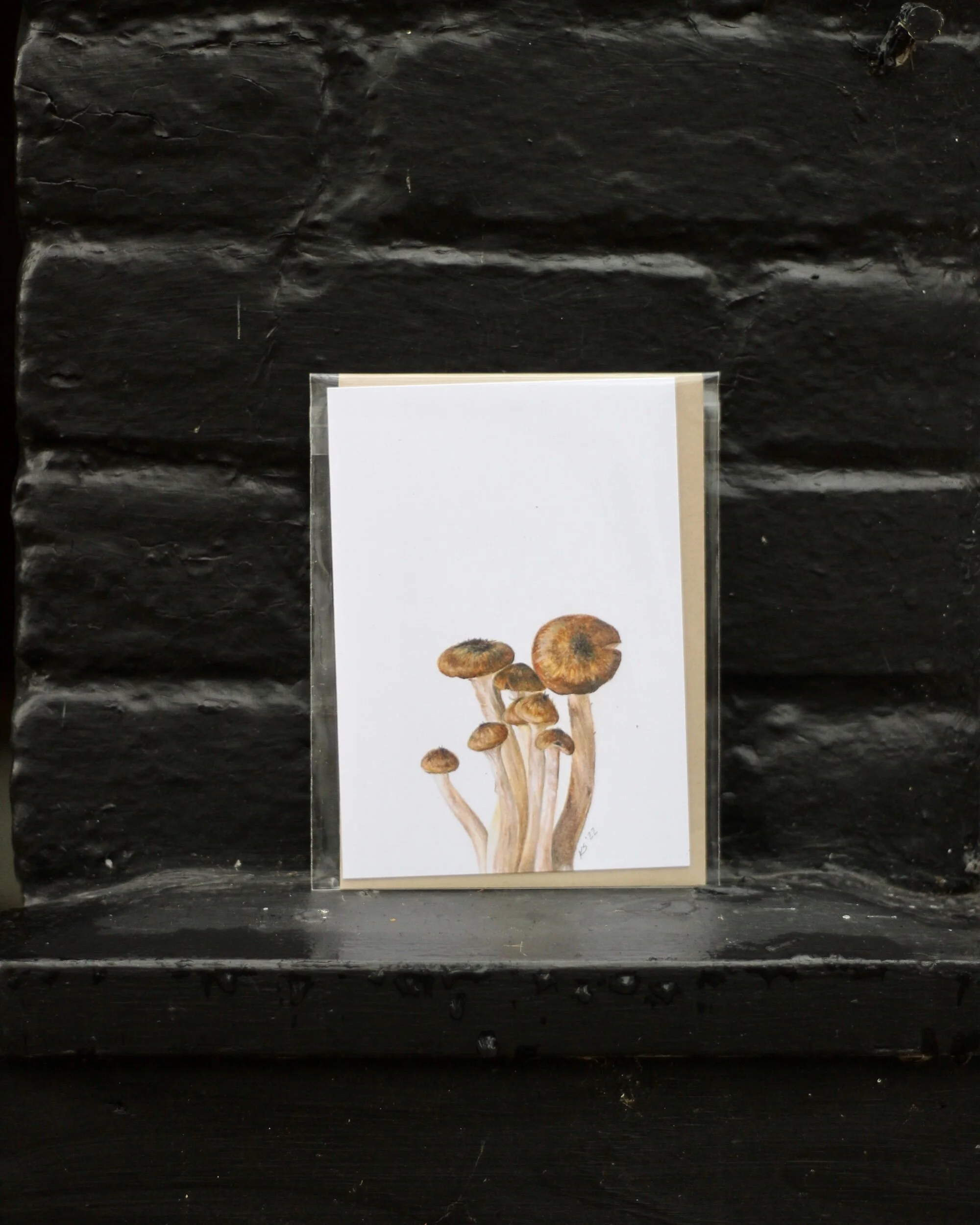 0B8D8A72-7E08-43E6-ADC2-C0228A1D332C