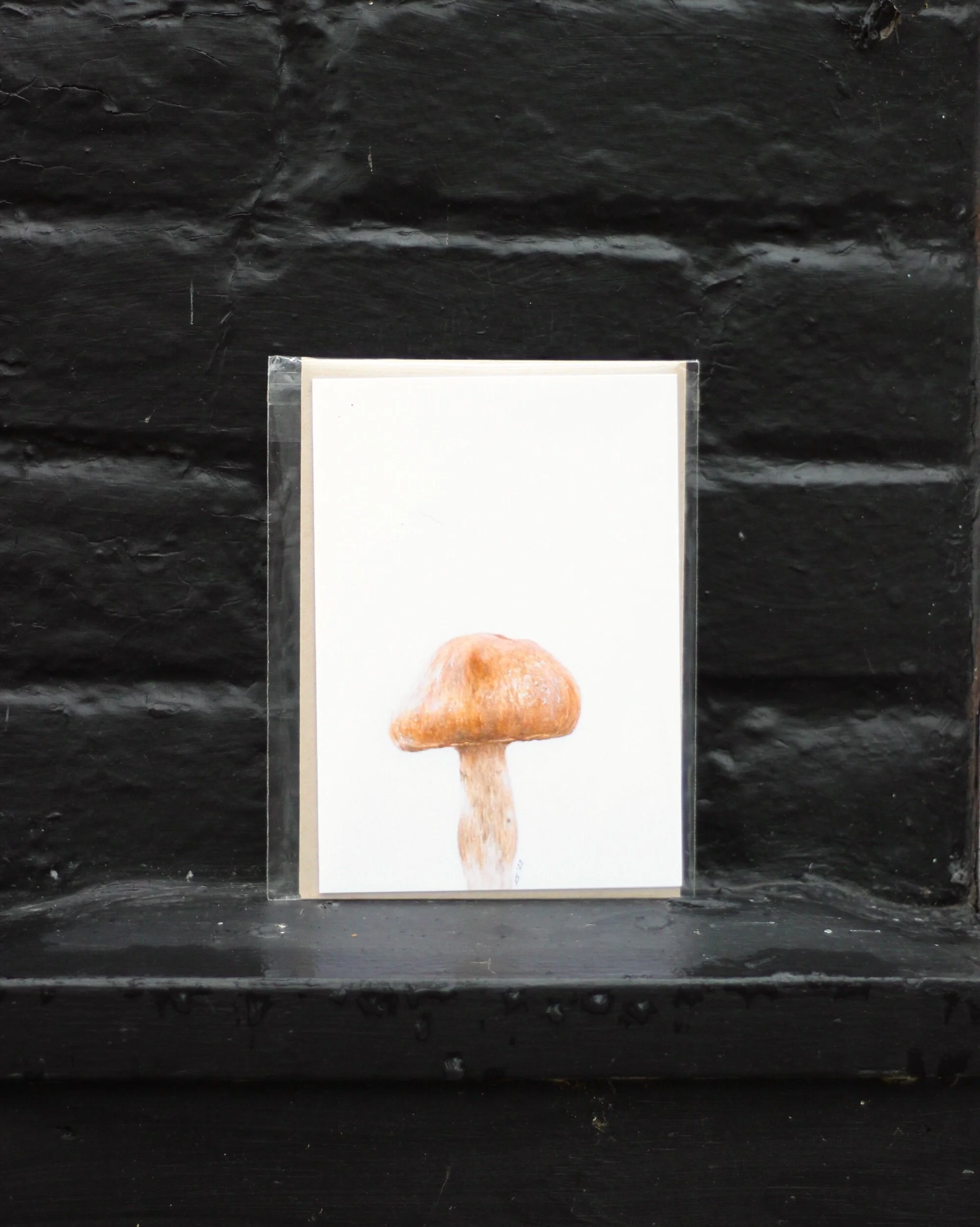 F395C9C5-CEF8-424D-A660-AB085A2EDC43