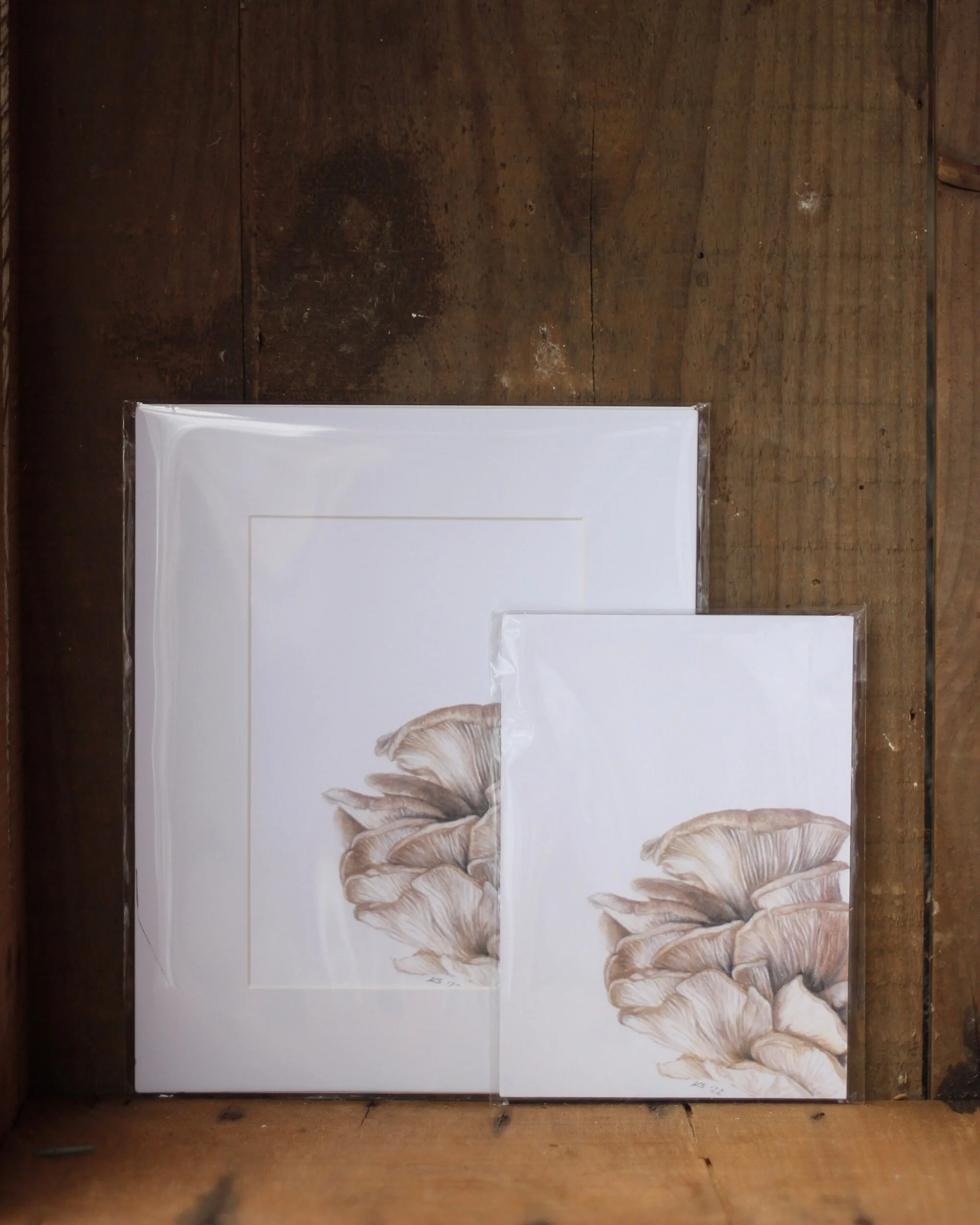 fungi no. 3 - prints