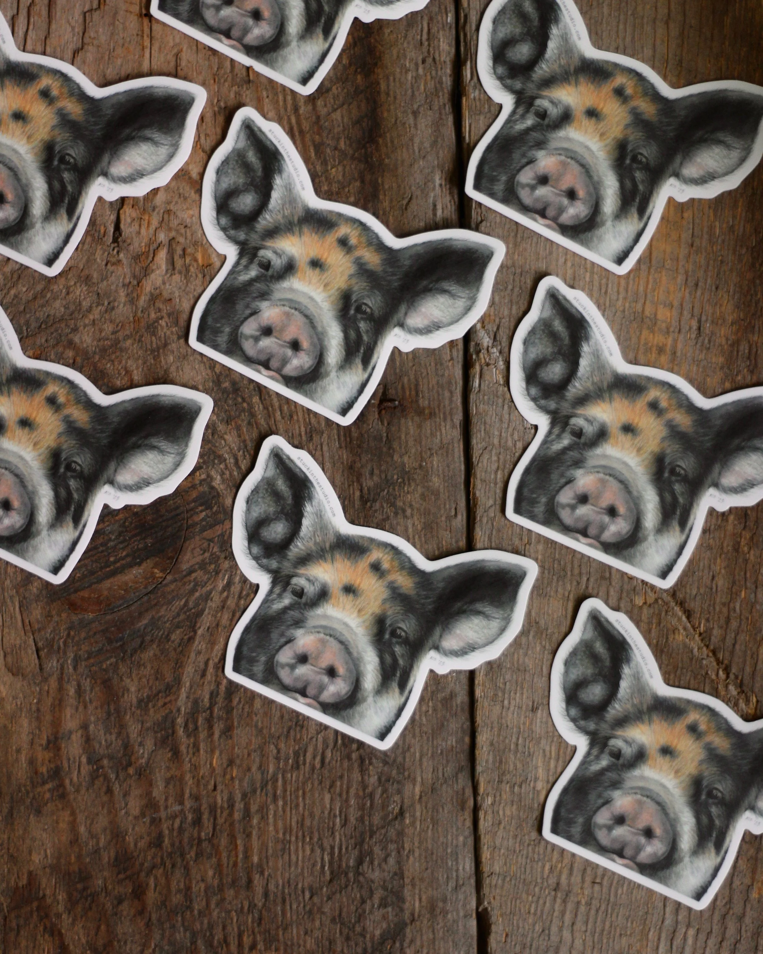 piglet - sticker
