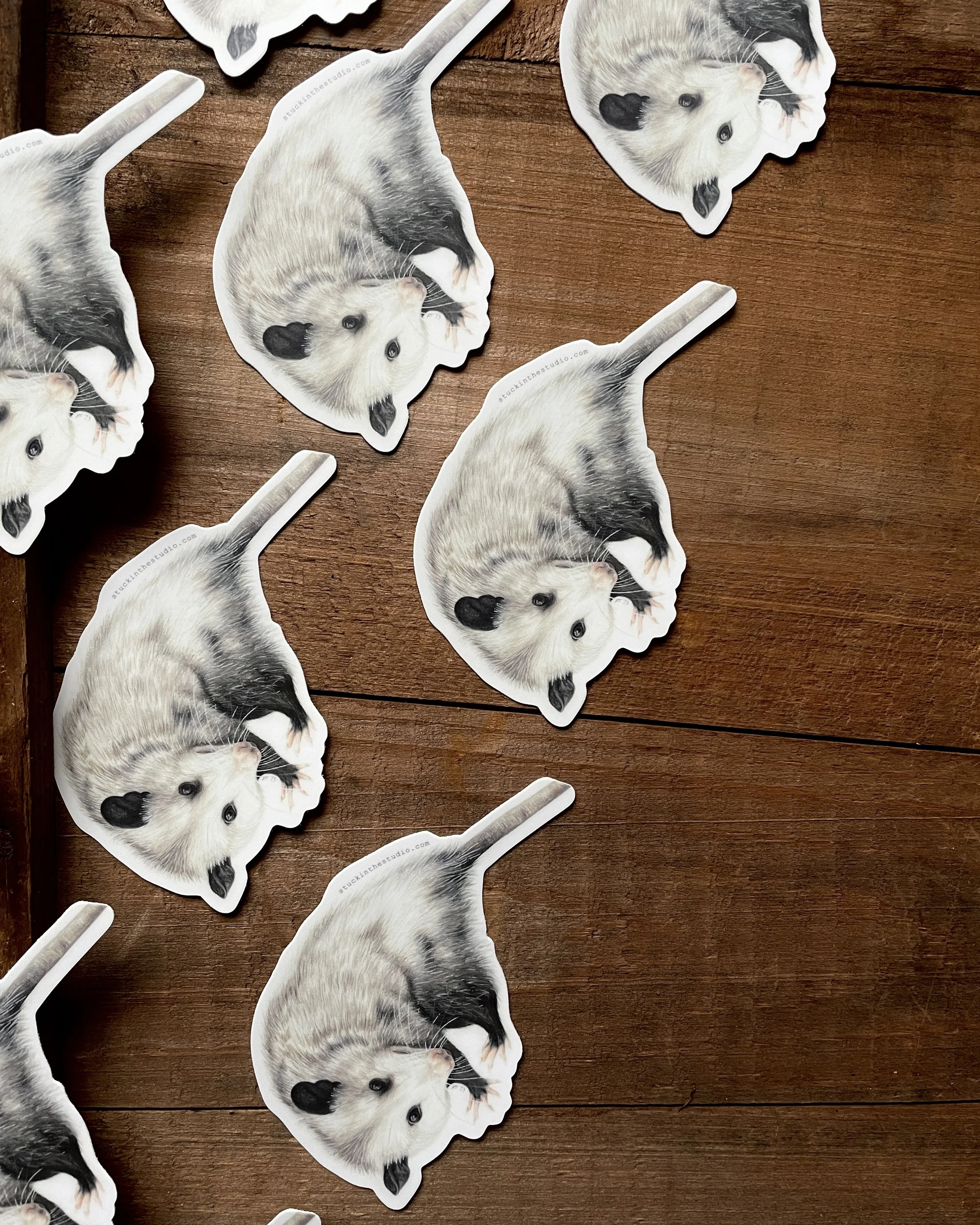 opossum - sticker