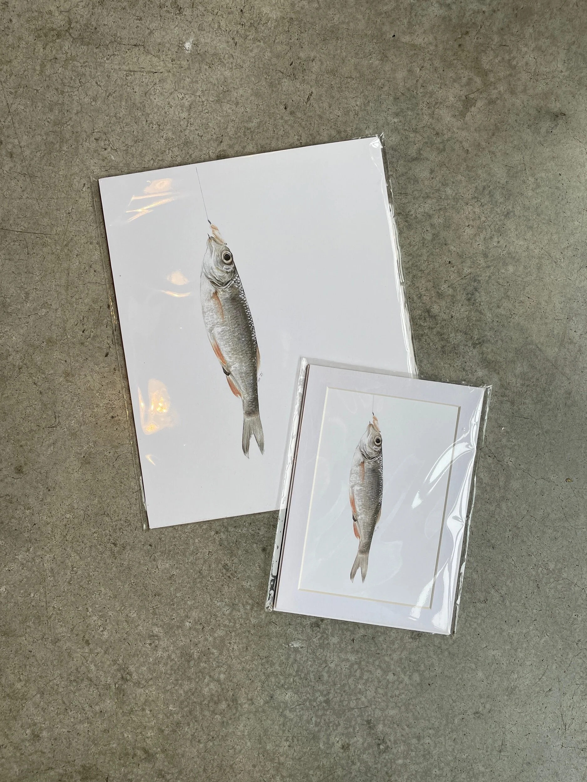 AD1DA892-79EF-4D13-BE7A-DA1D0BAD040E